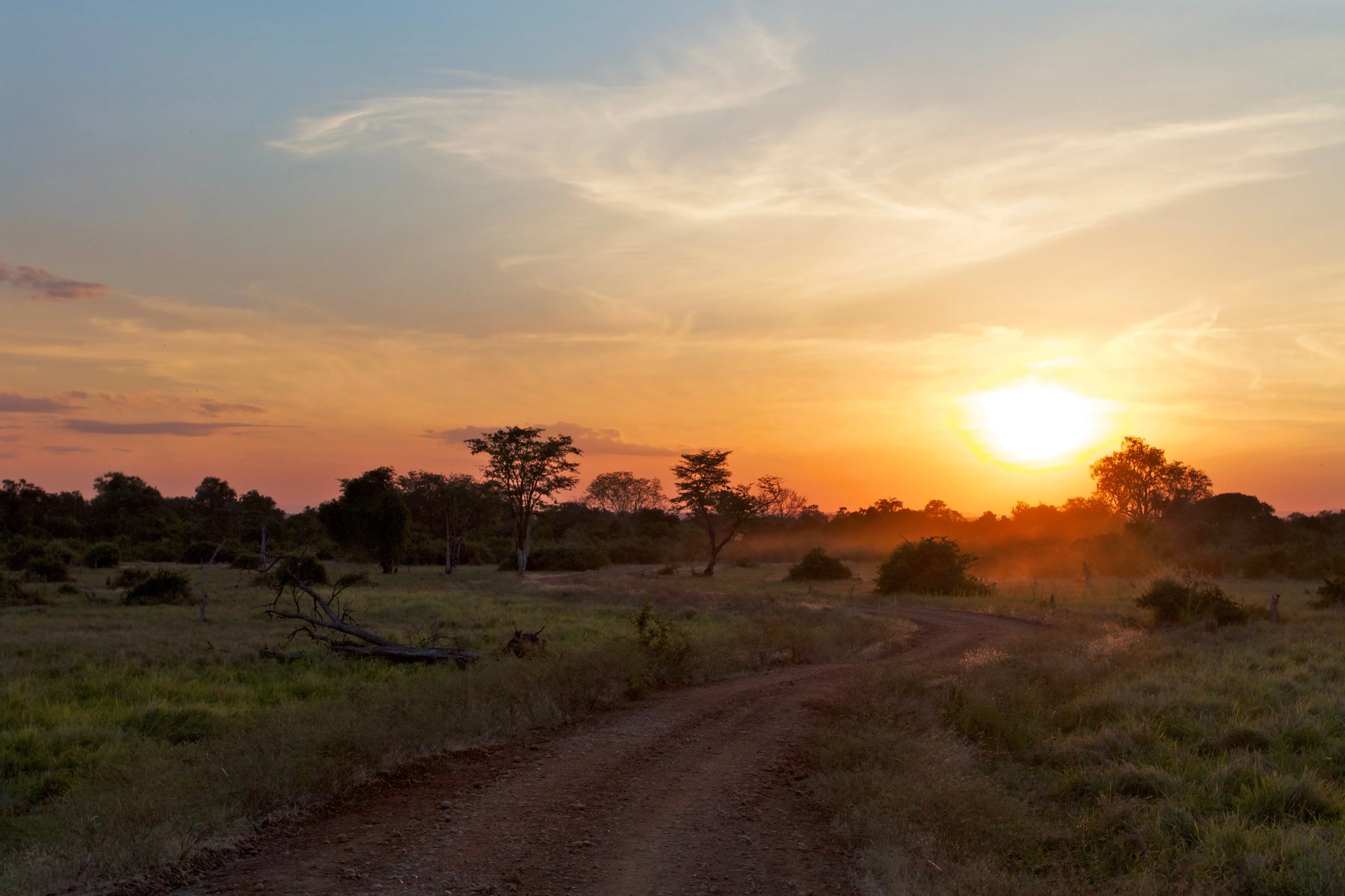 Luangwa Valley Landscape Zambia