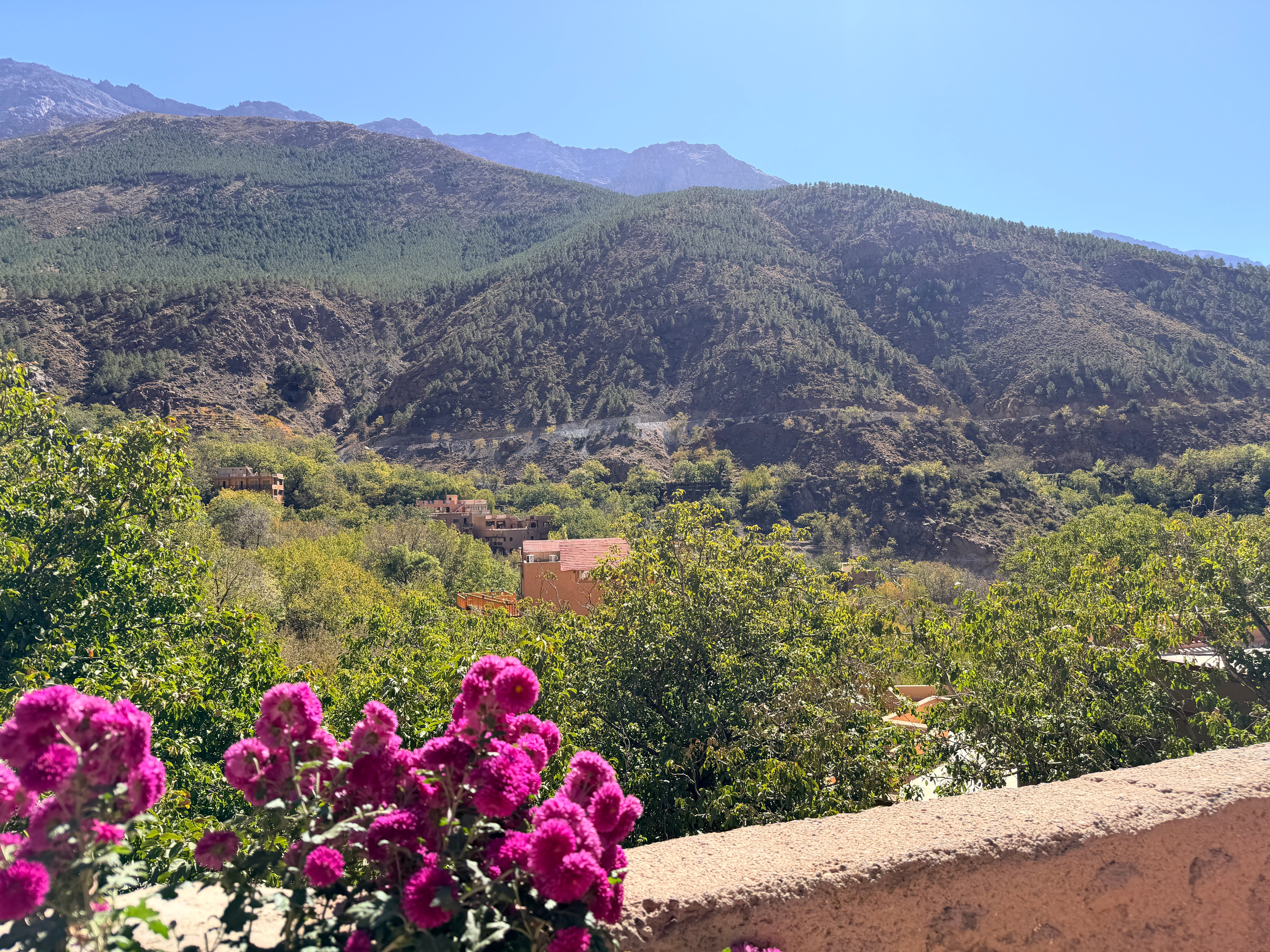 View of the mountains from the accommodation