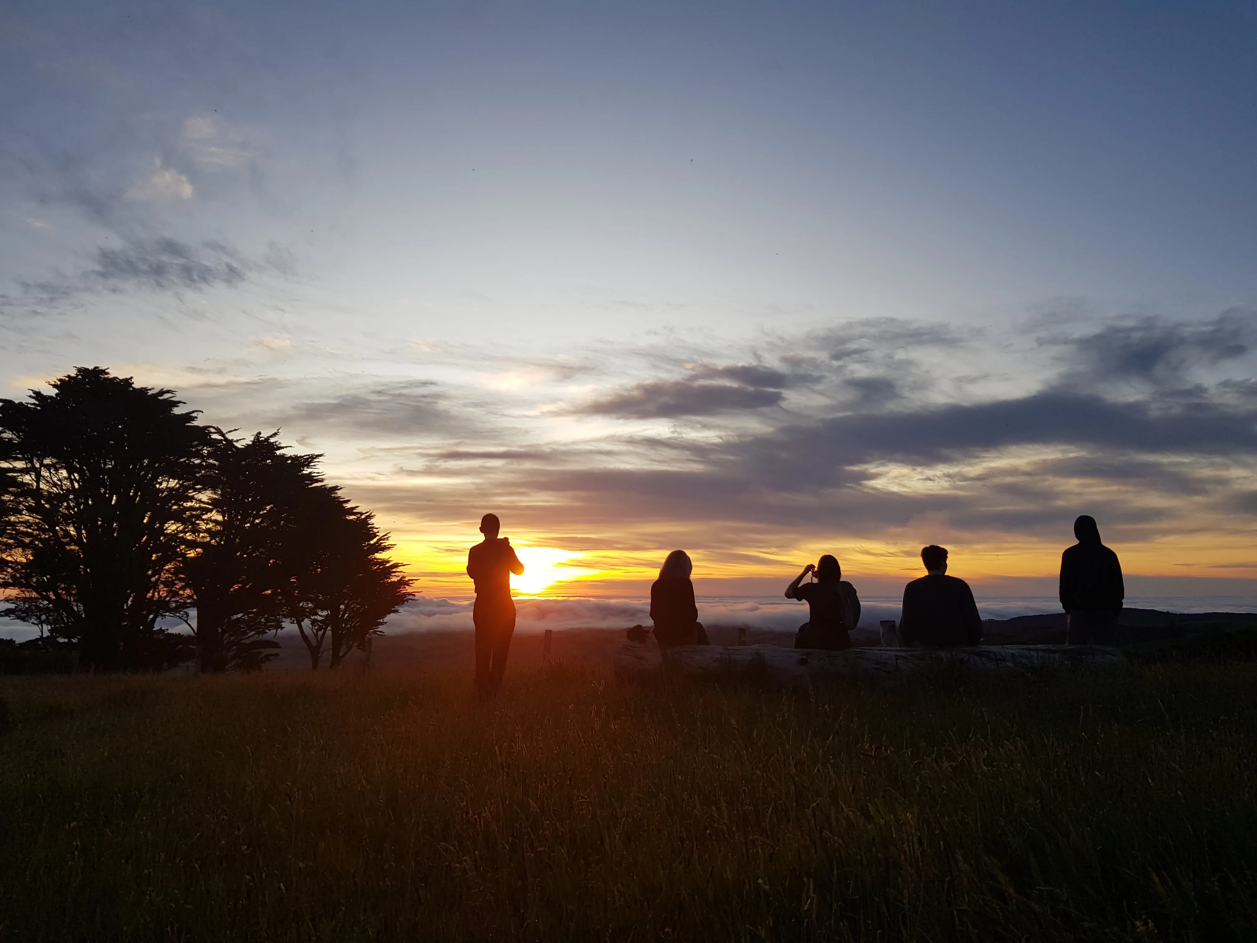 Freiwilligenprojekt Naturschutz Kauri Küste, Neuseeland