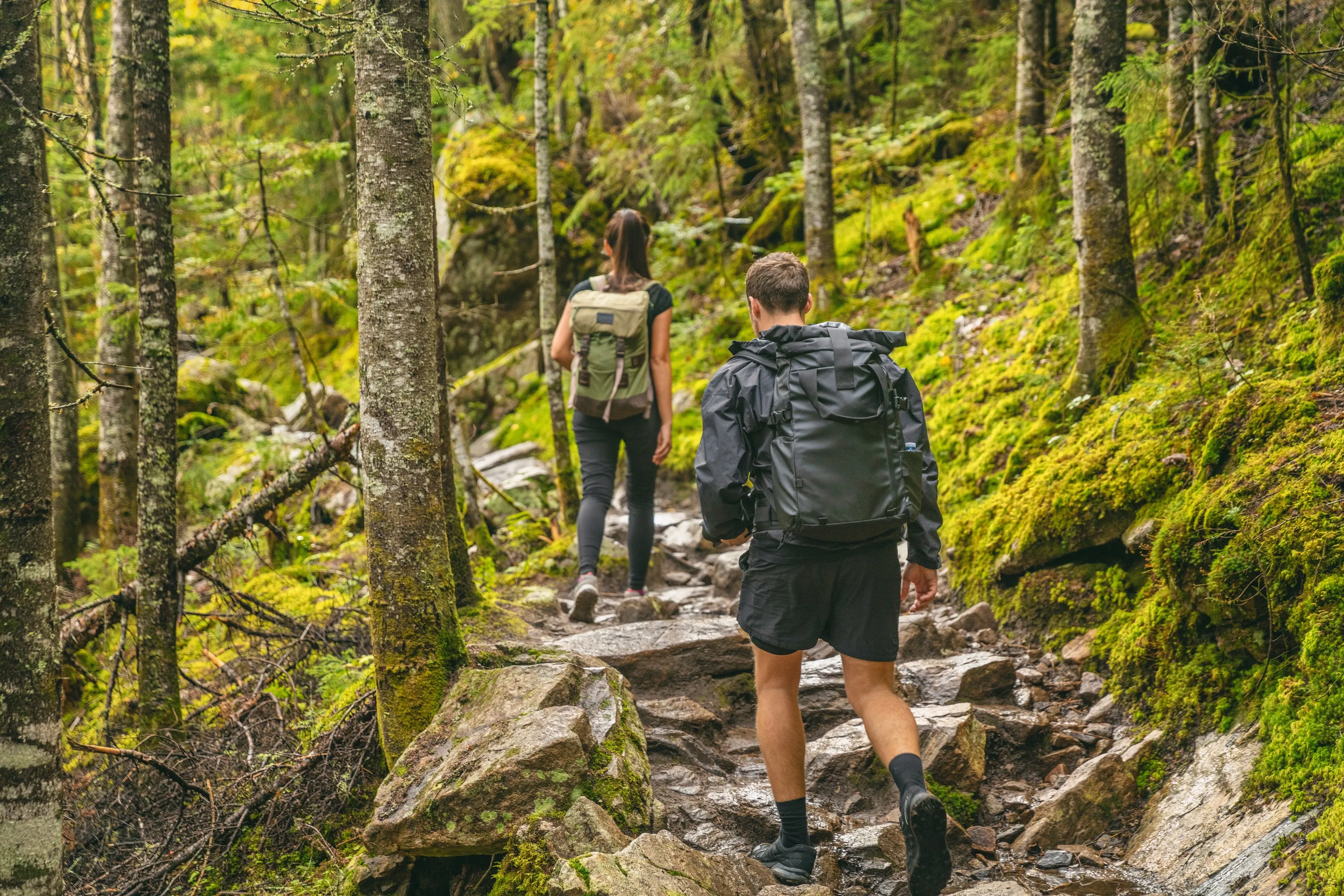 Hikers walking on trail