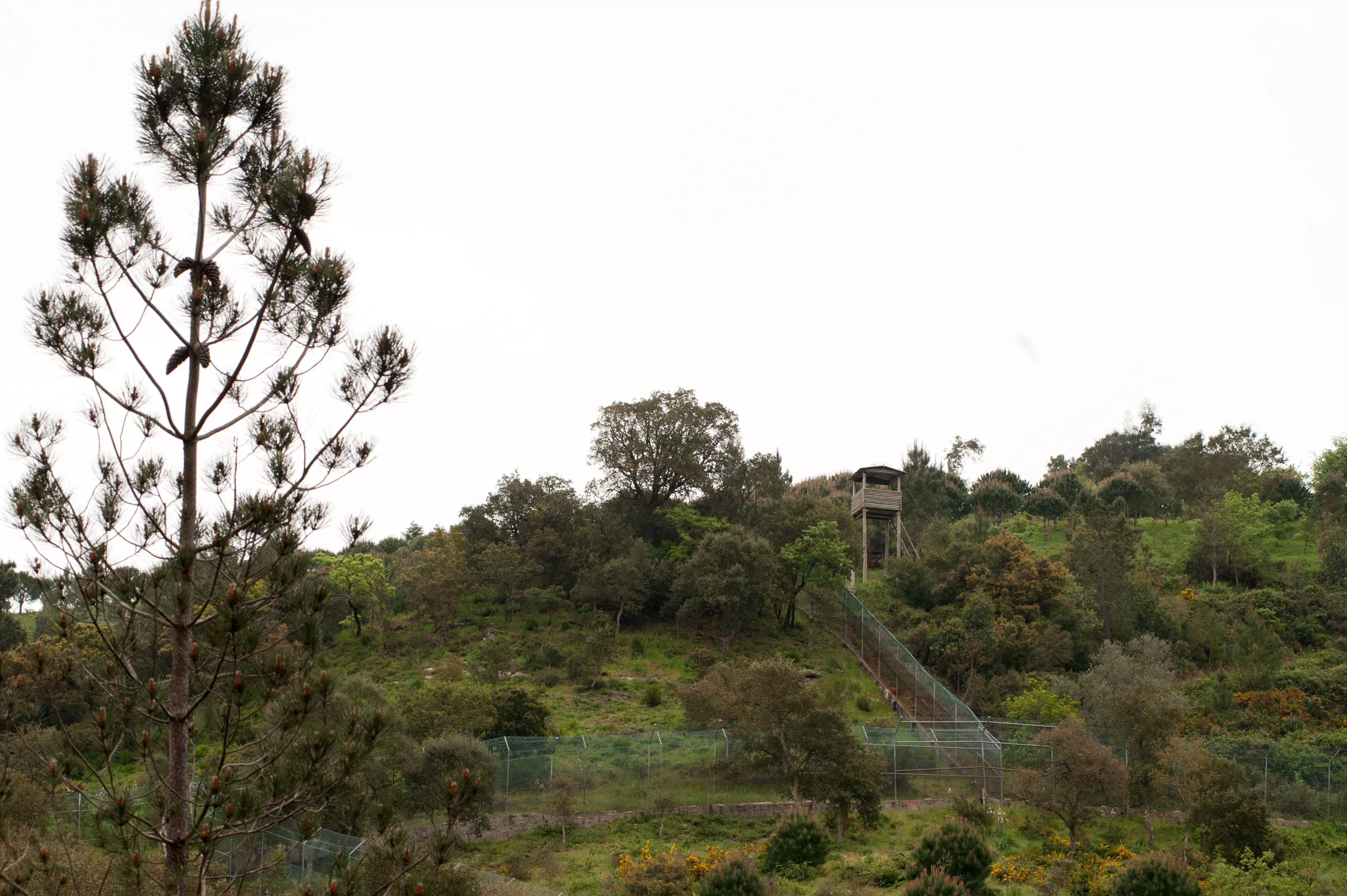 Portugal conservation headquarter perimeter