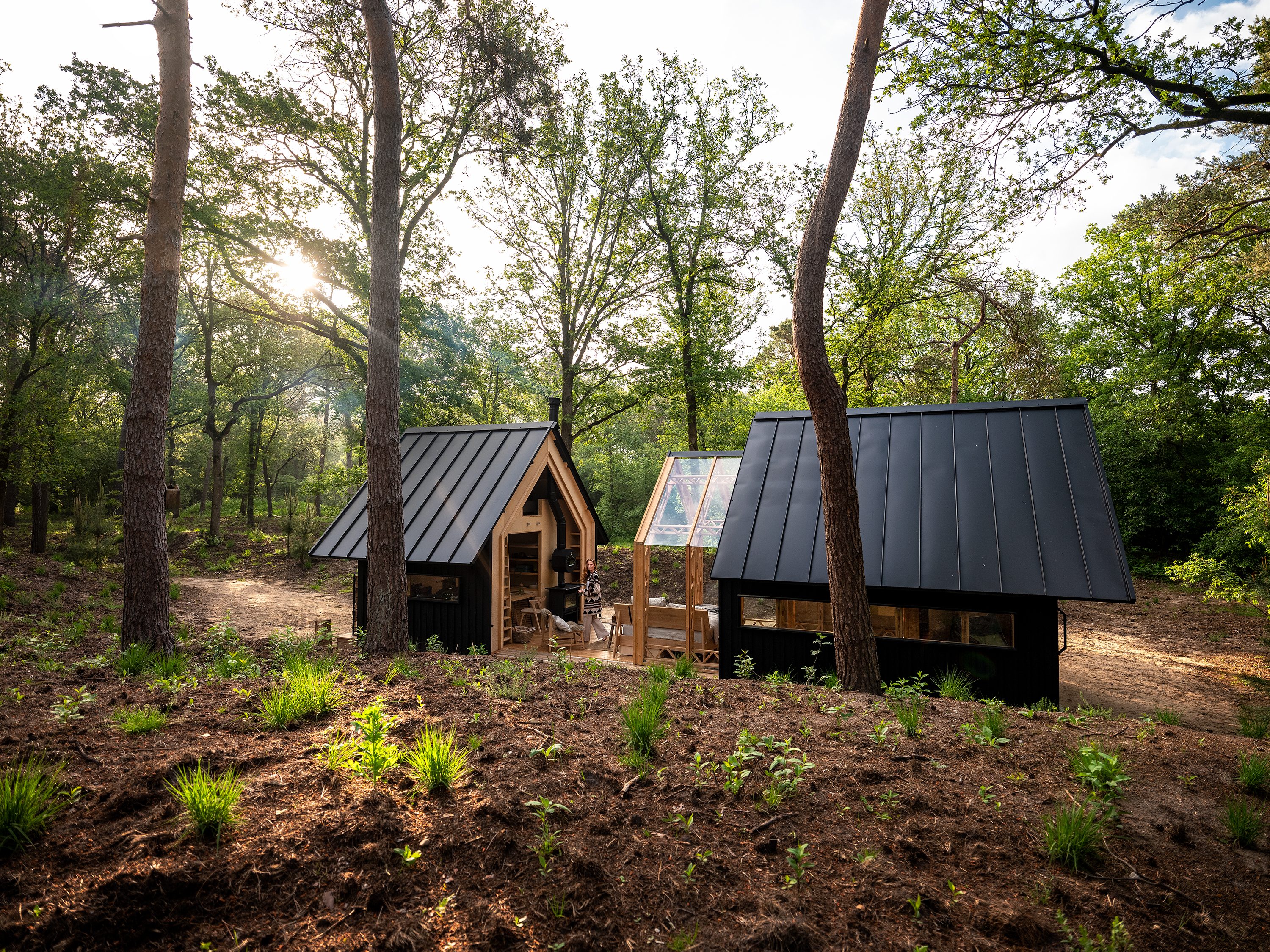 Anna Cabin im Wald