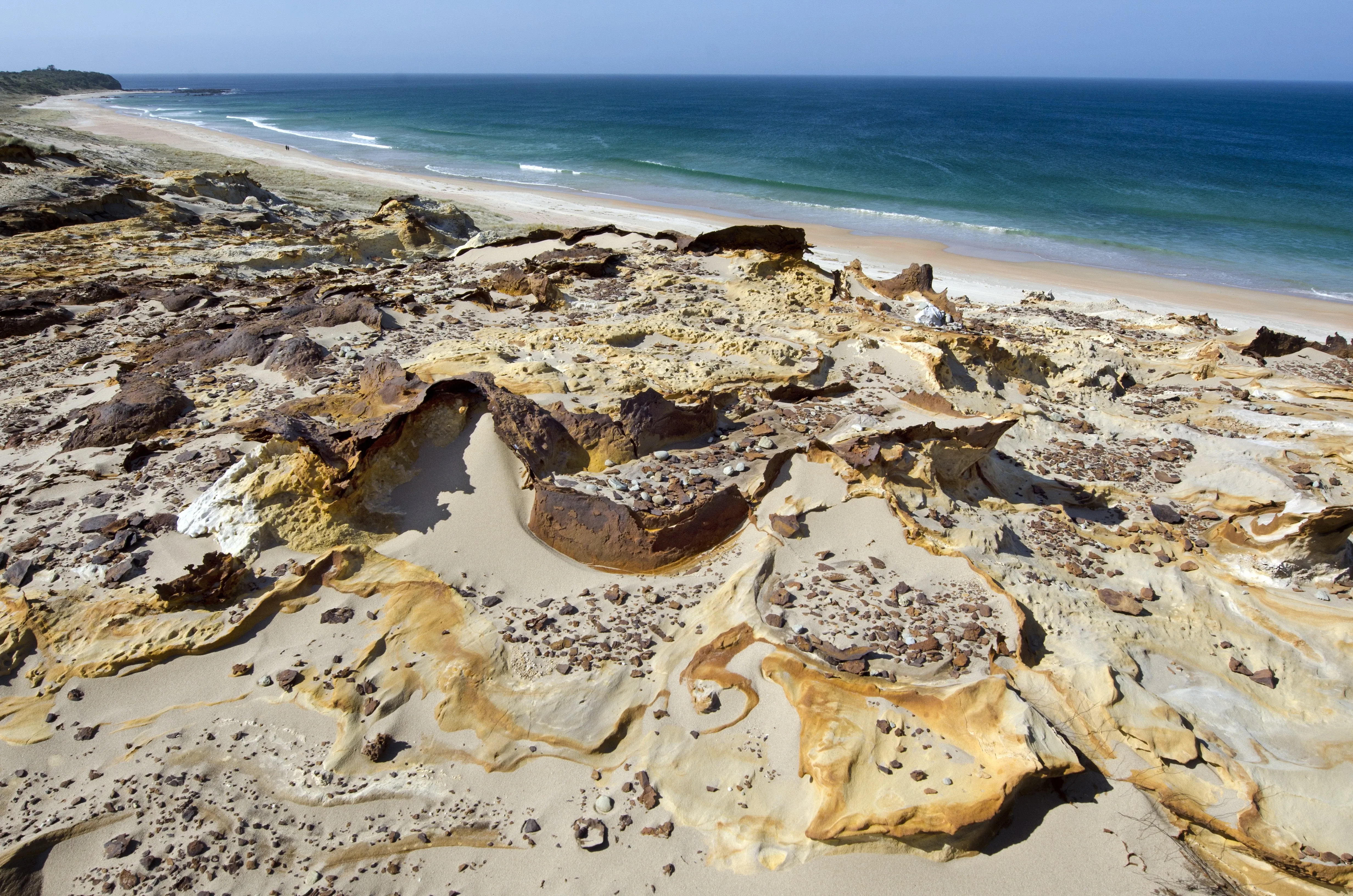 henderson bay new zealand