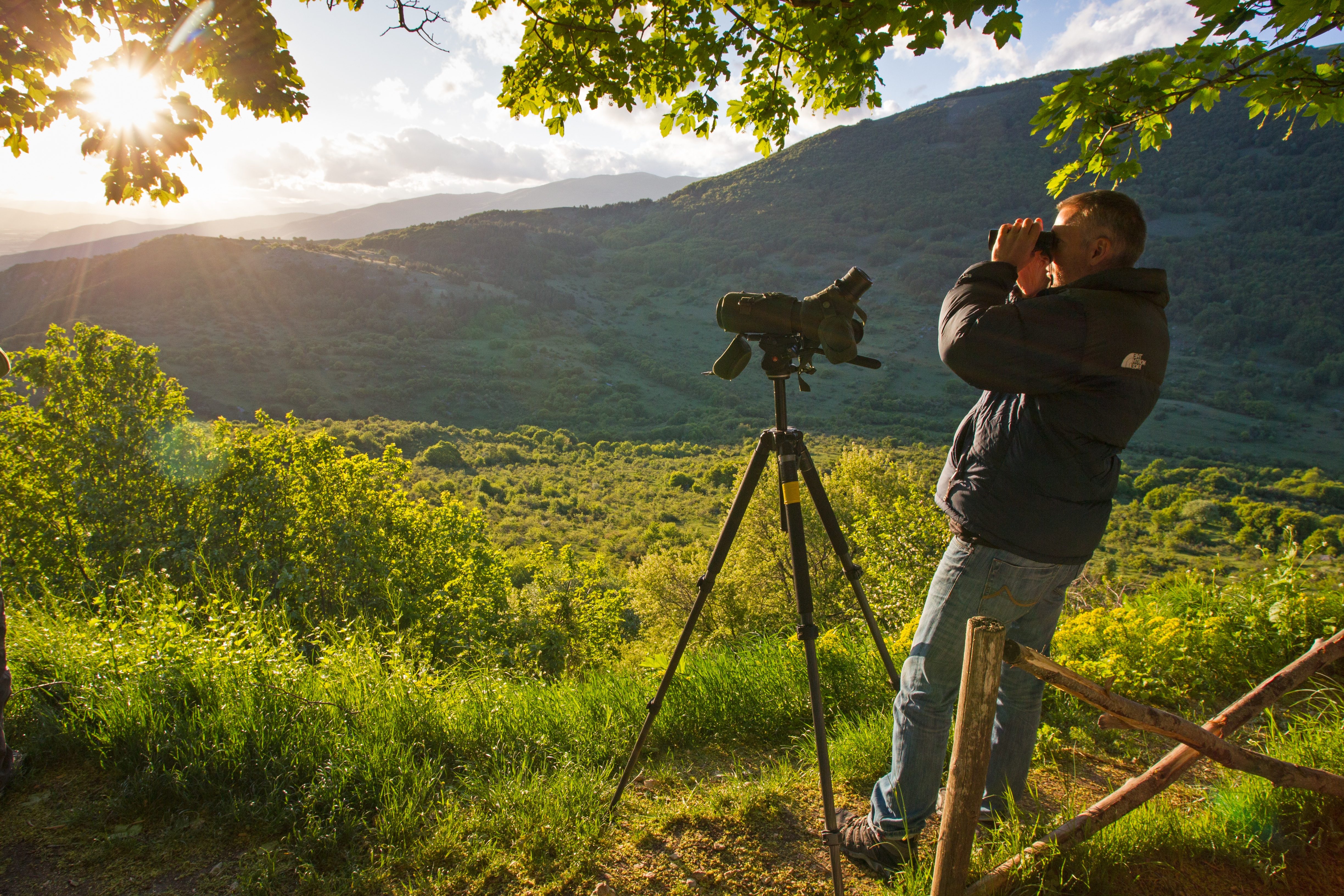 Team member looking out to the horizon through binoculars