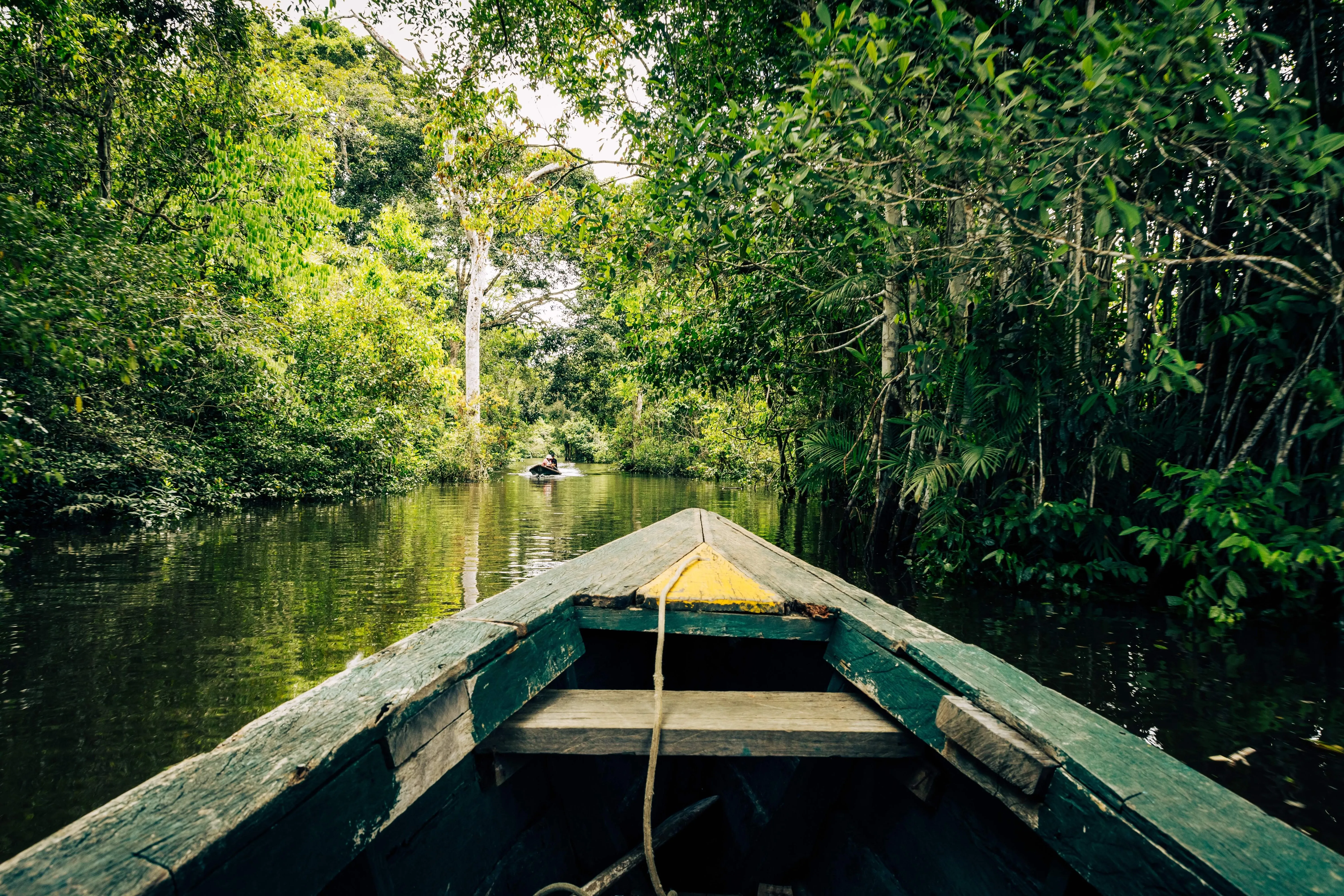amazonas regenwald mit boot