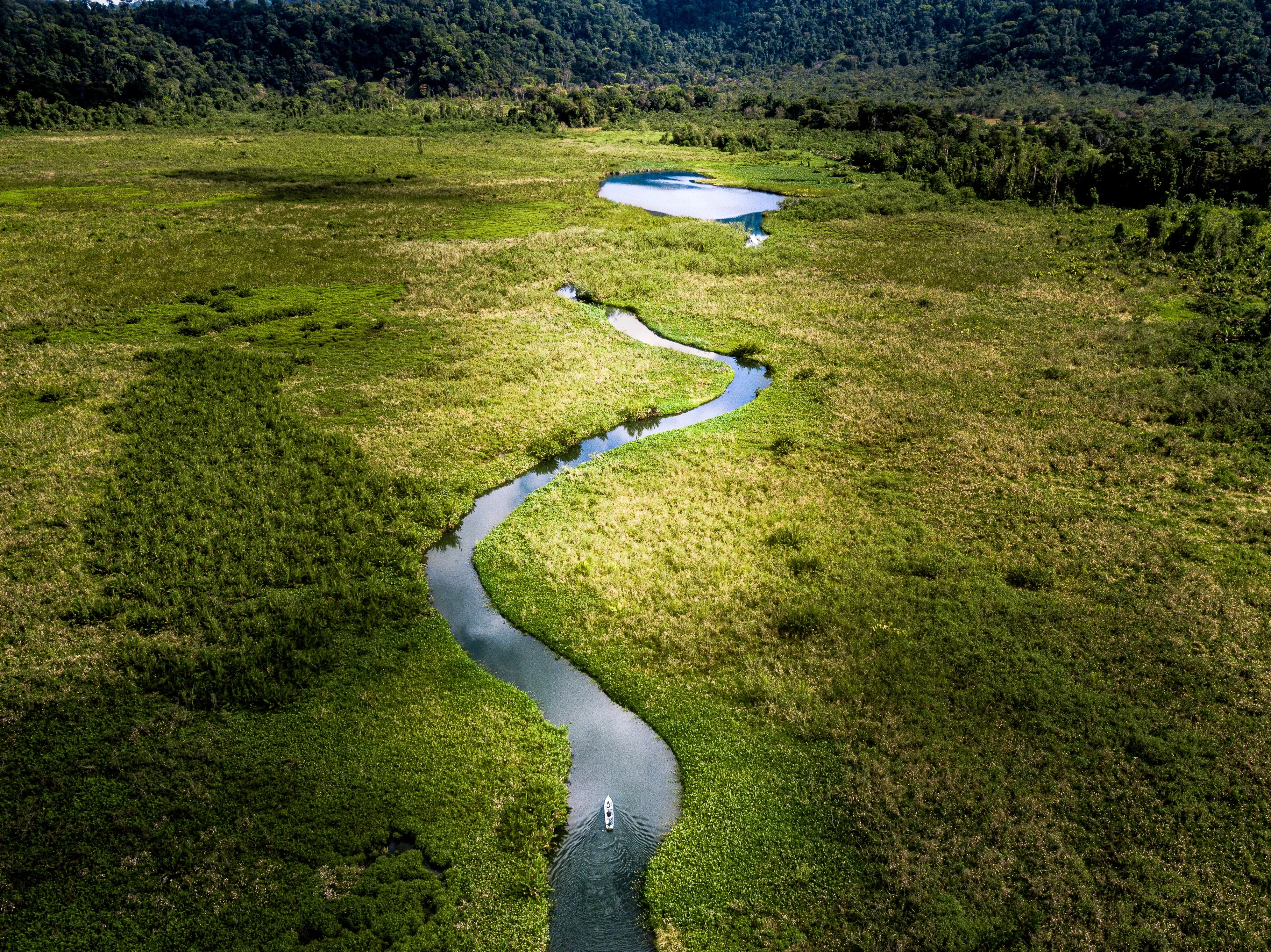 costa rica mangrove