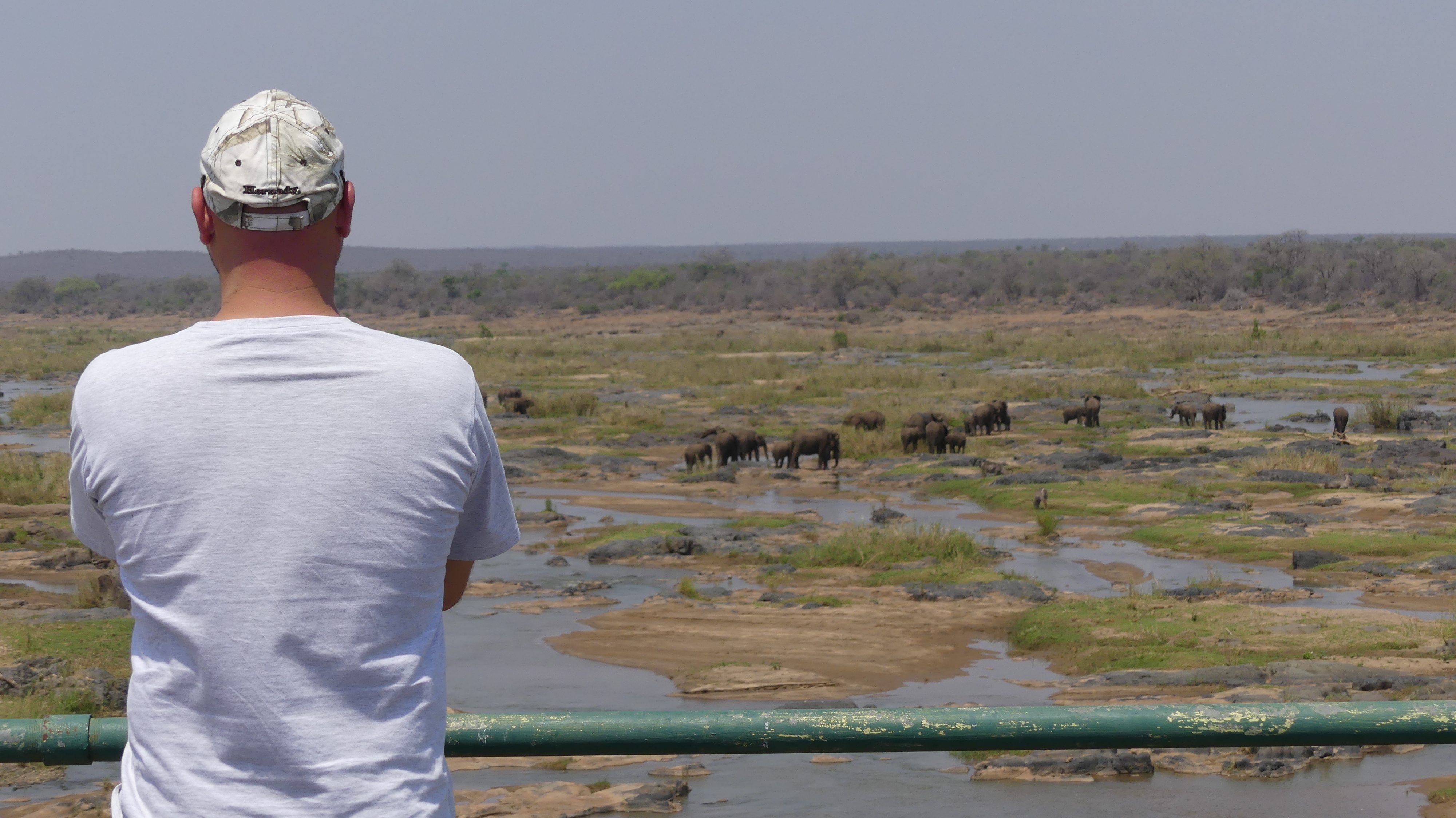 Touristen beobachten Elefanten