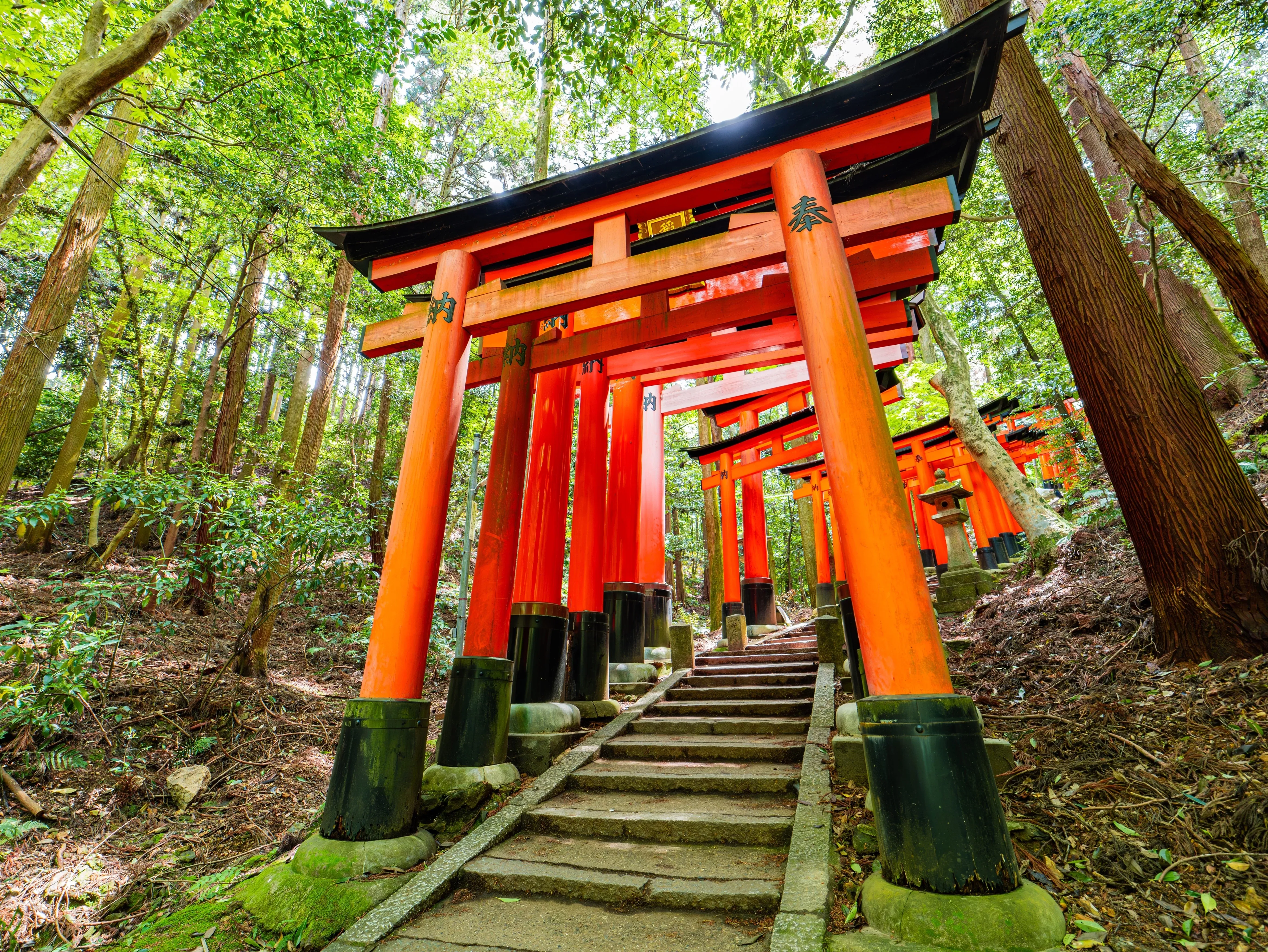 Torii-Tor