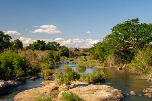 Kruger national park point of view