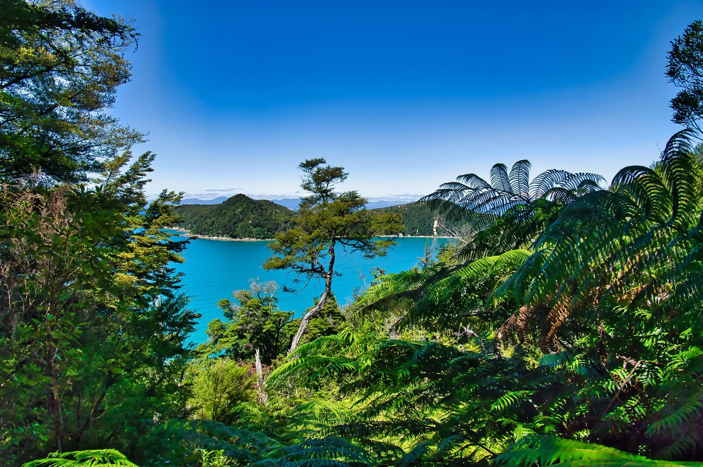 Abel tasman national park