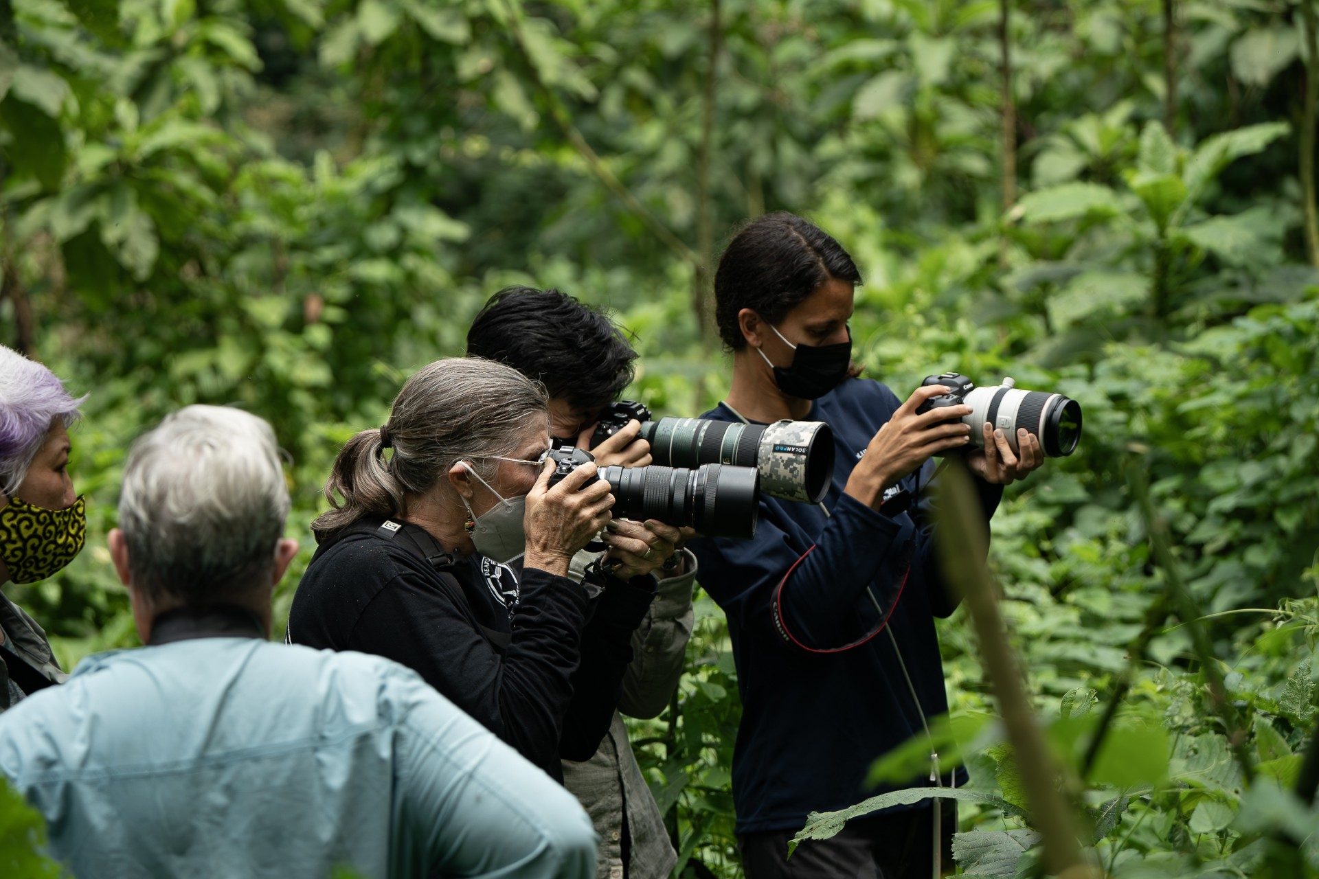 Photography enthusiasts chimpanzee trekking