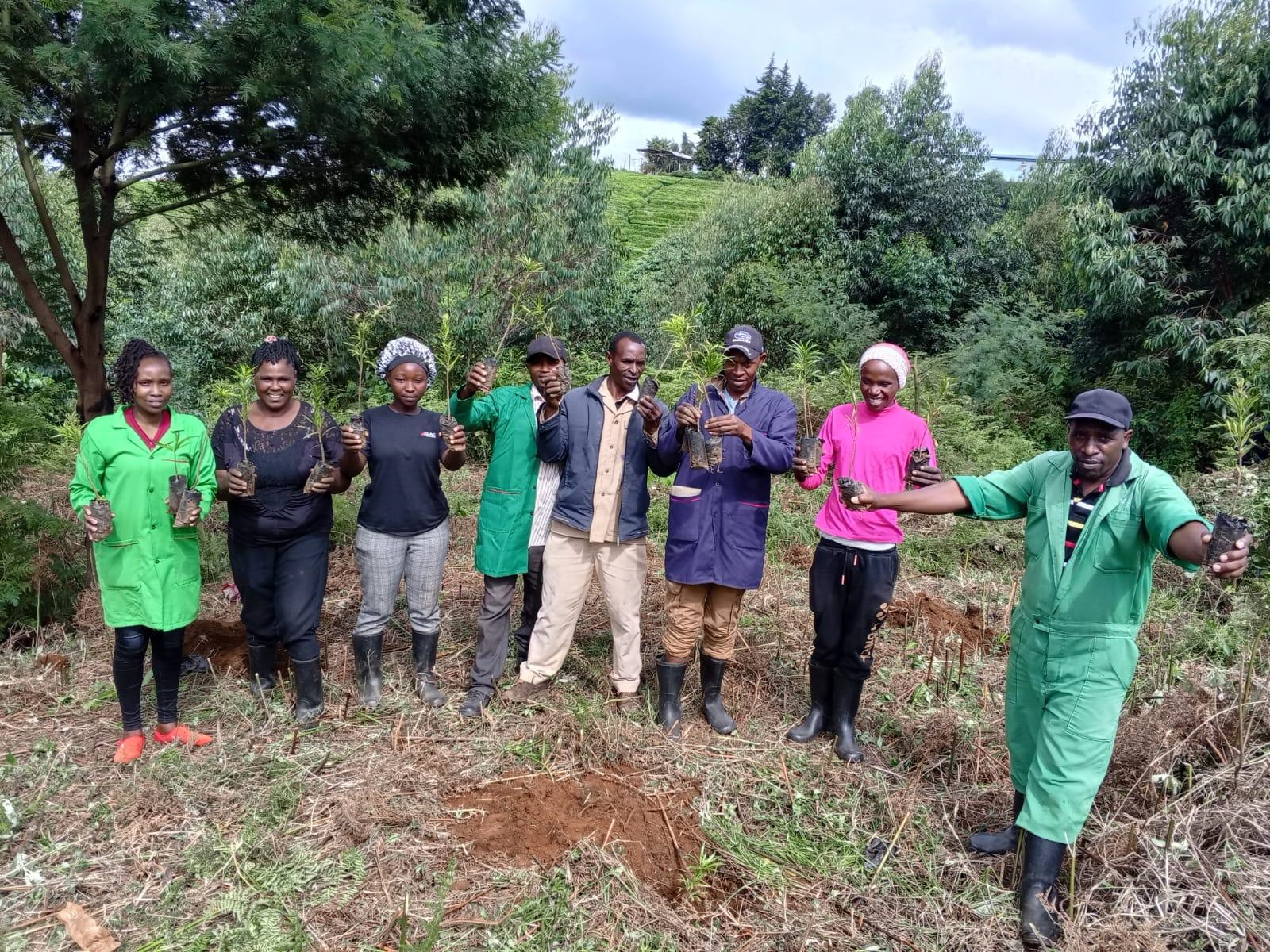 Gruppe mit Pflanzen vor dem Einpflanzen