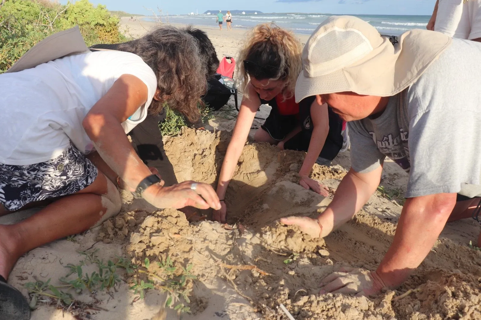 Freiwillige Helfer bei der Überwachung eines Schildkrötennests am Strand