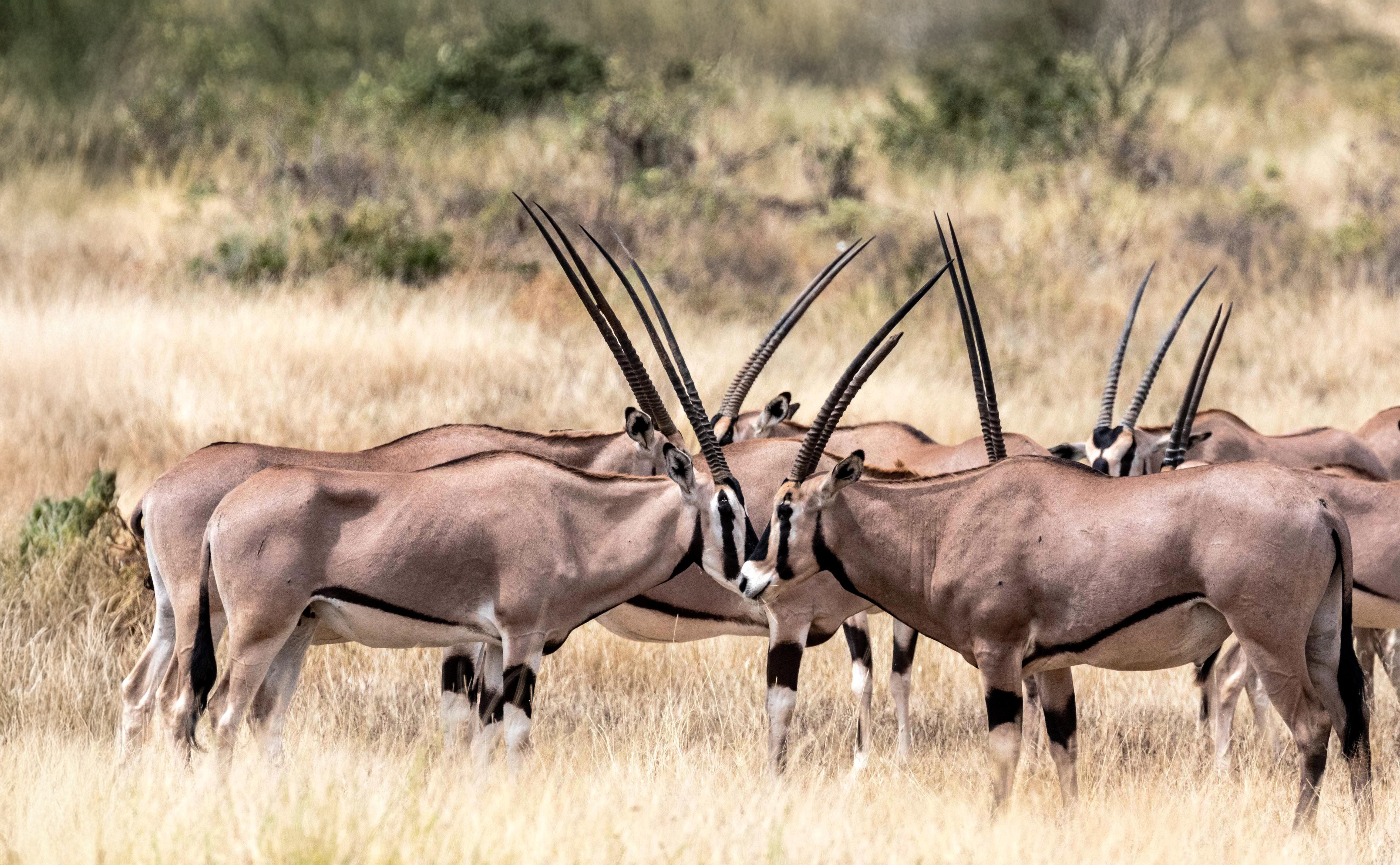 Our partner: Kampur Travel Diaries