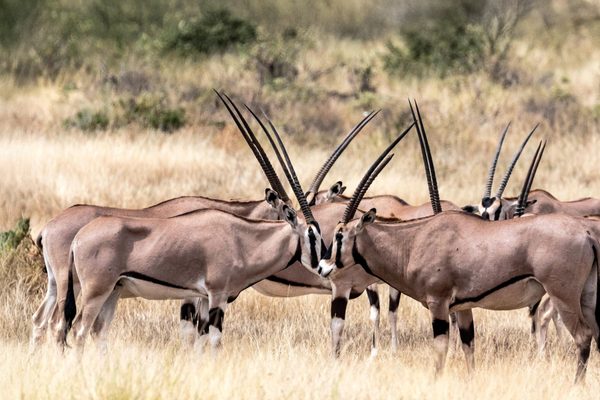 Unser Partner: Kampur Travel Diaries