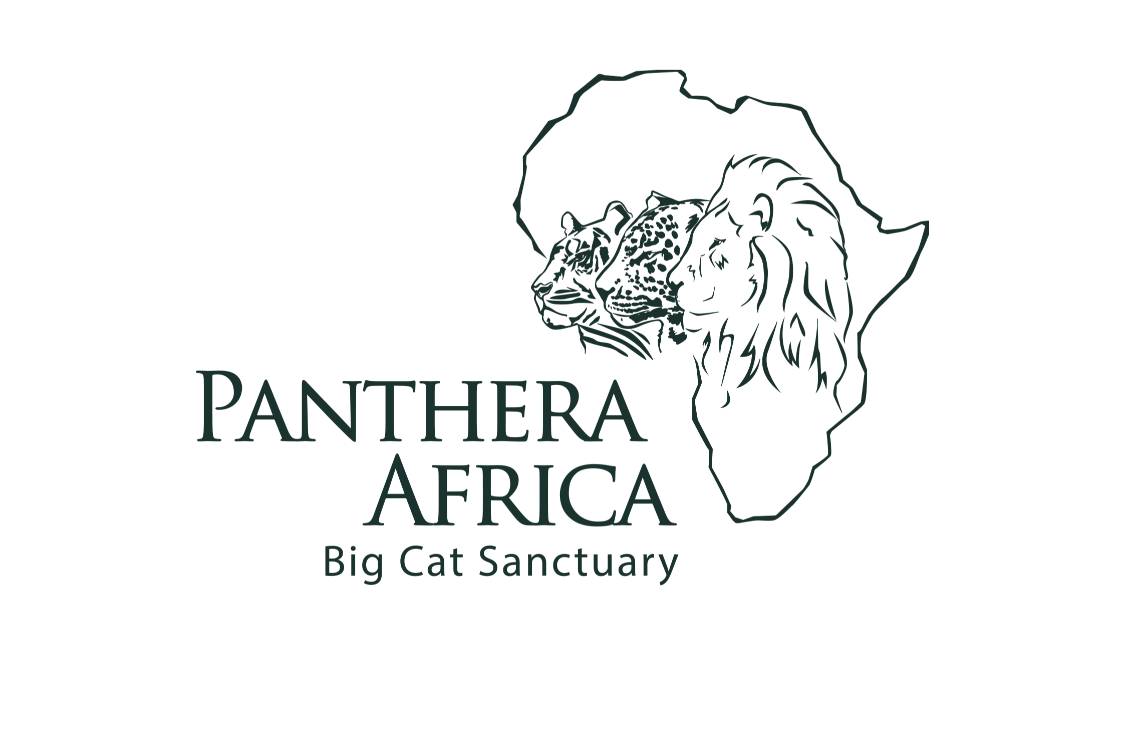 panthera africa logo