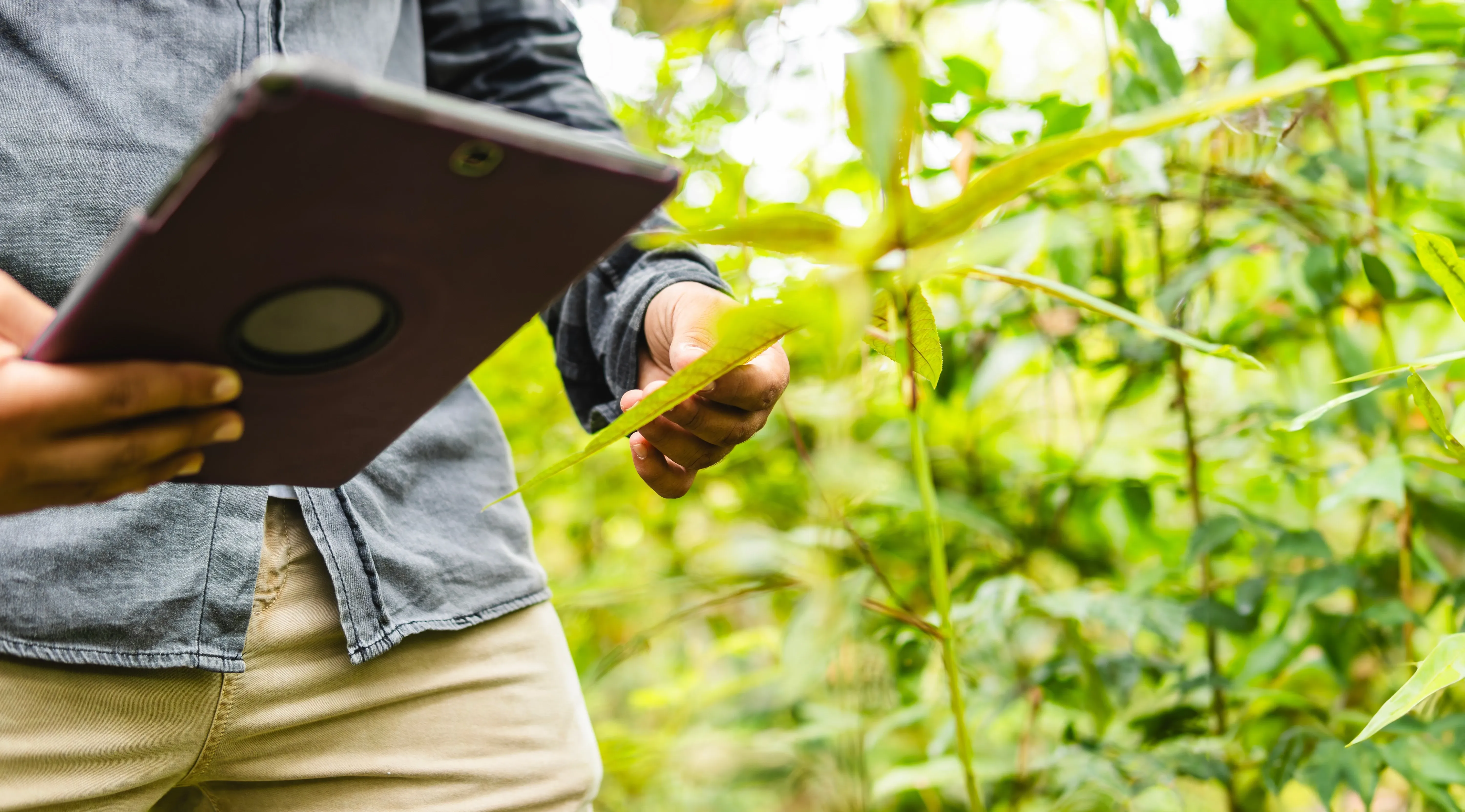 biologist capturing data