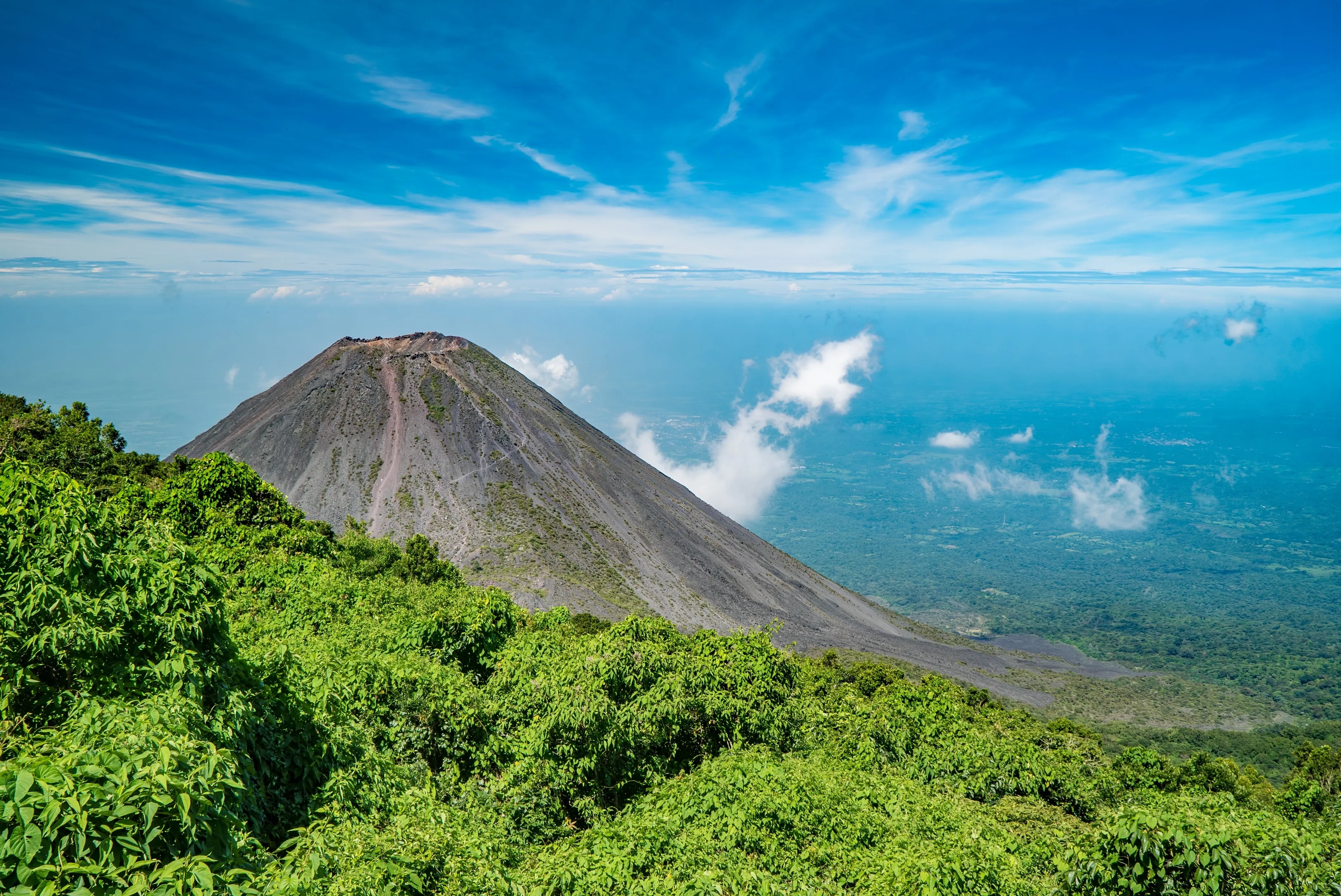 El Salvador forest backdrop