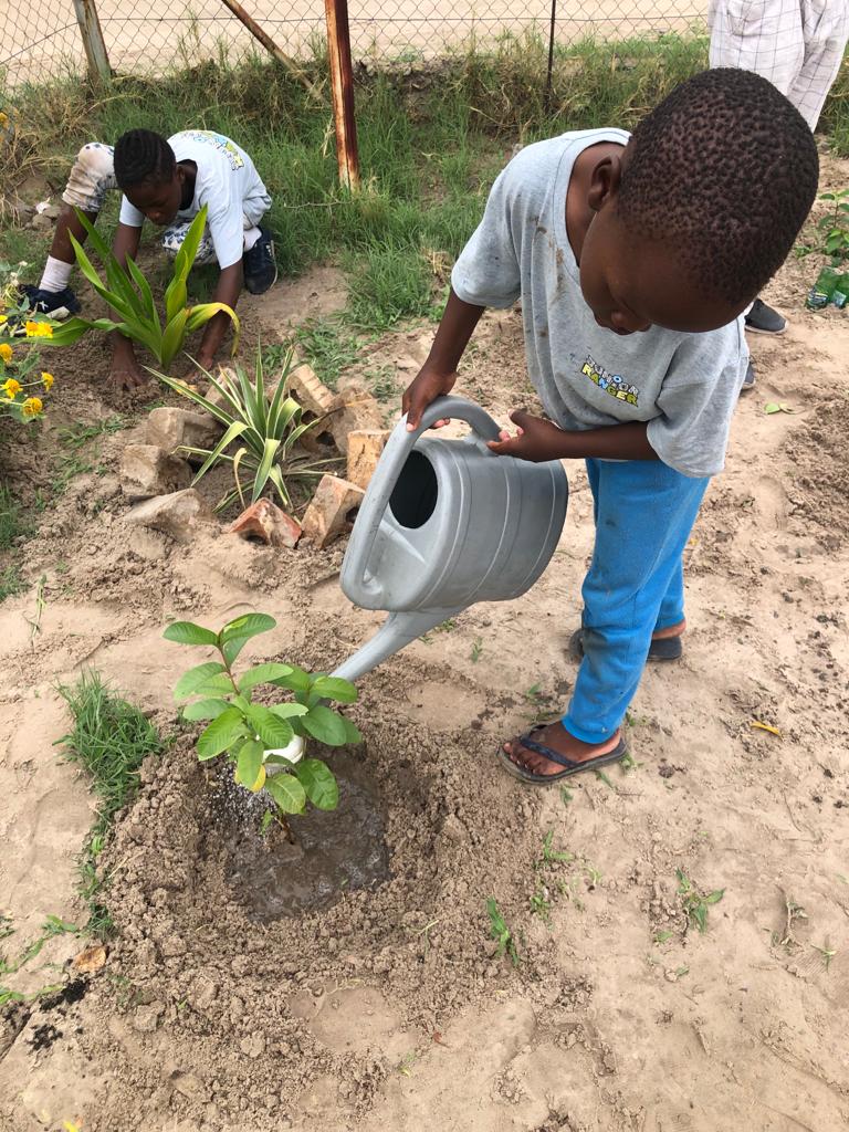 Our partner: Knyphausen Foundation