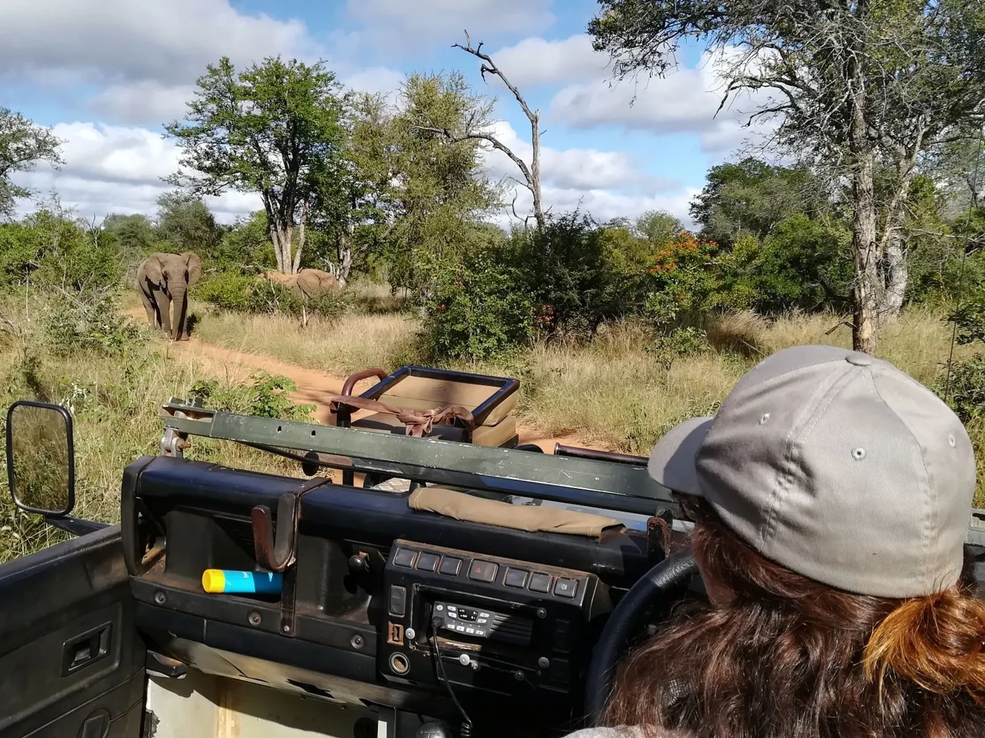 Professional Field Guide