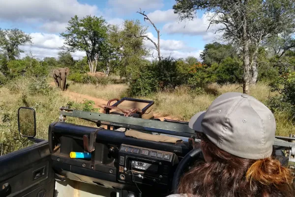 Professional Field Guide, Southern Africa