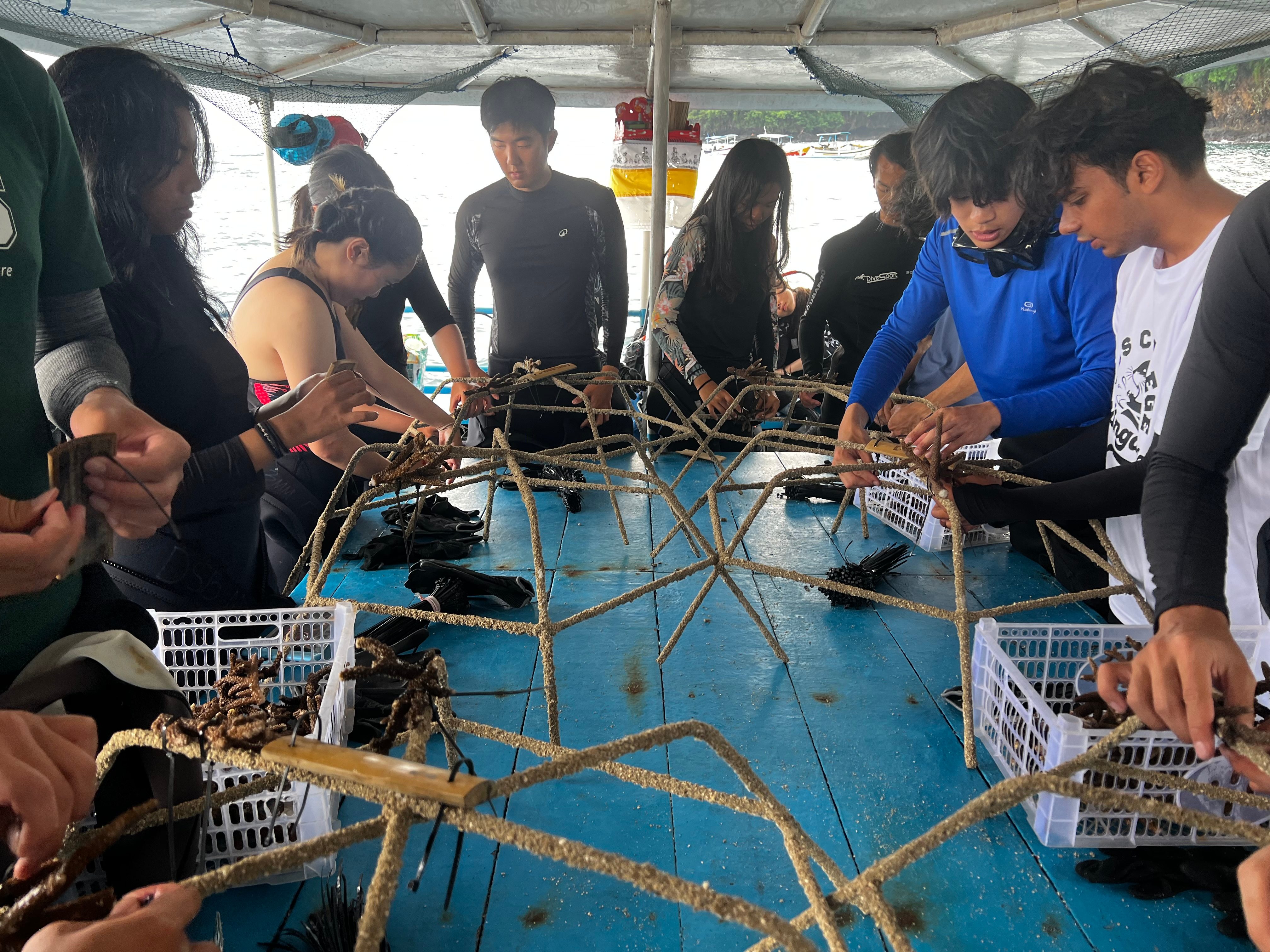 Teilnehmer beim Bau von Korallenstrukturen