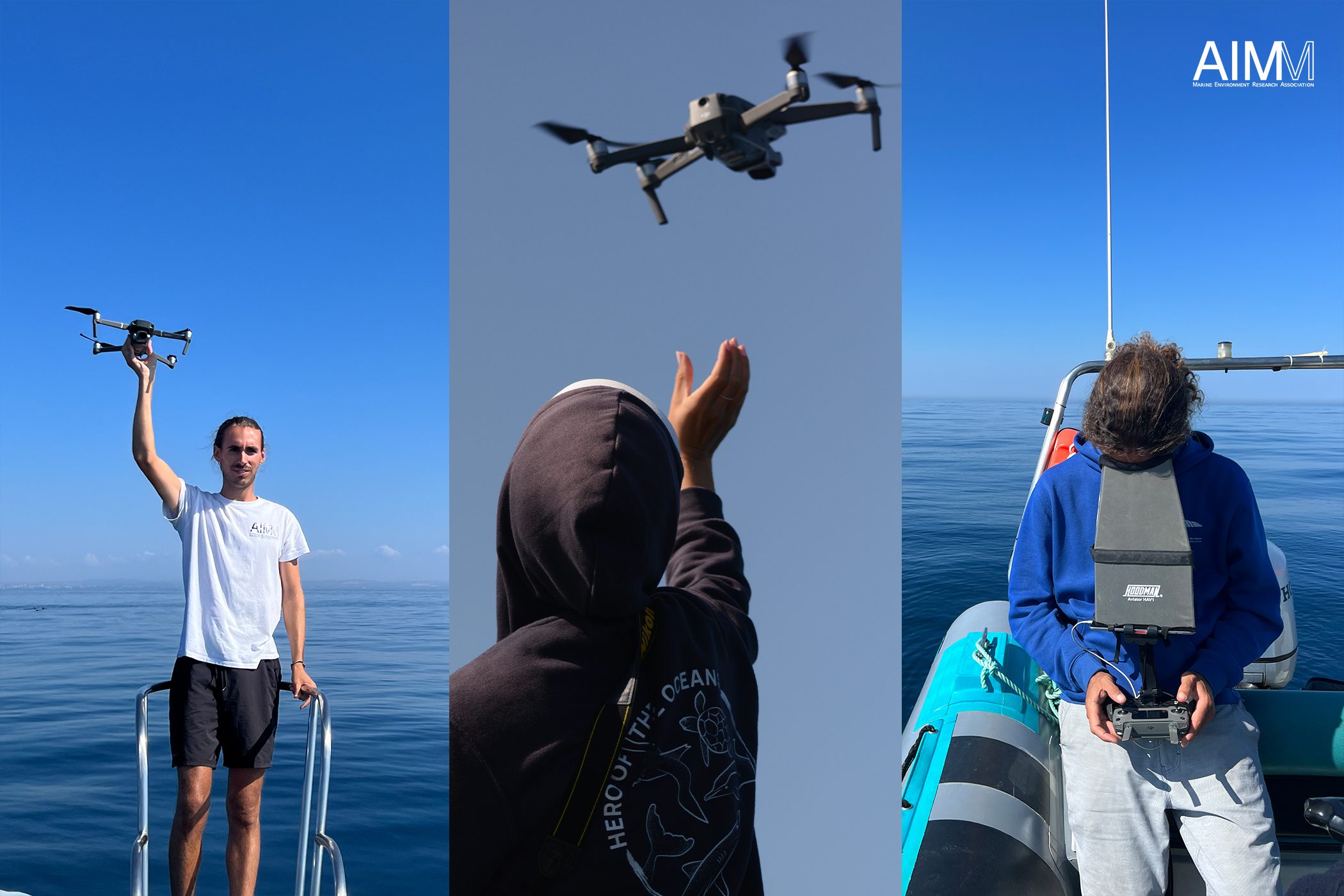 Freiwillige und Forscher nutzen Drohnen