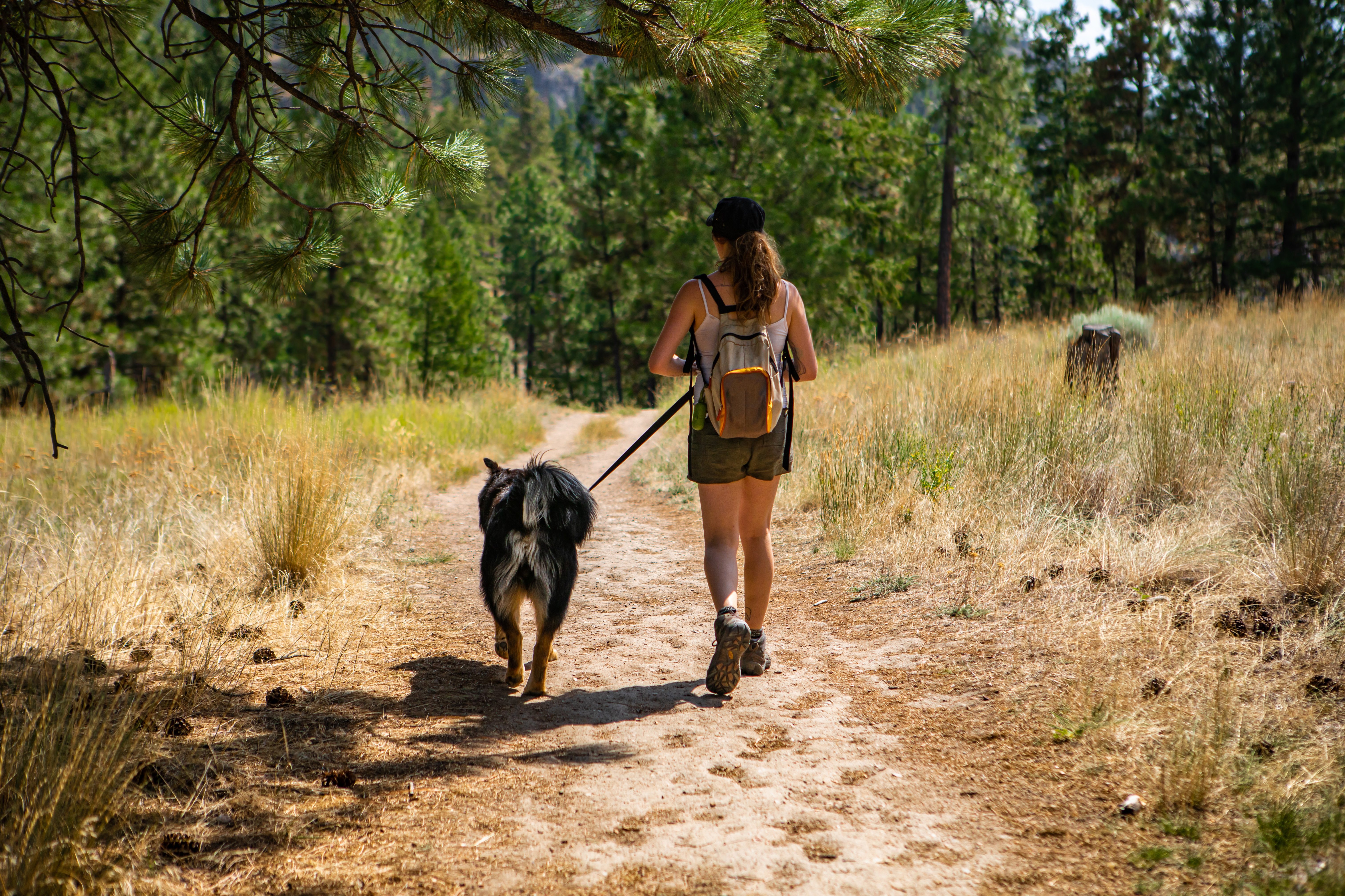 Girl hiking with dog in woods
