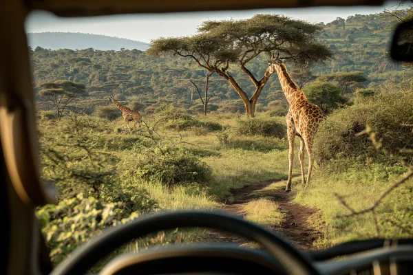 Game viewer by giraffe