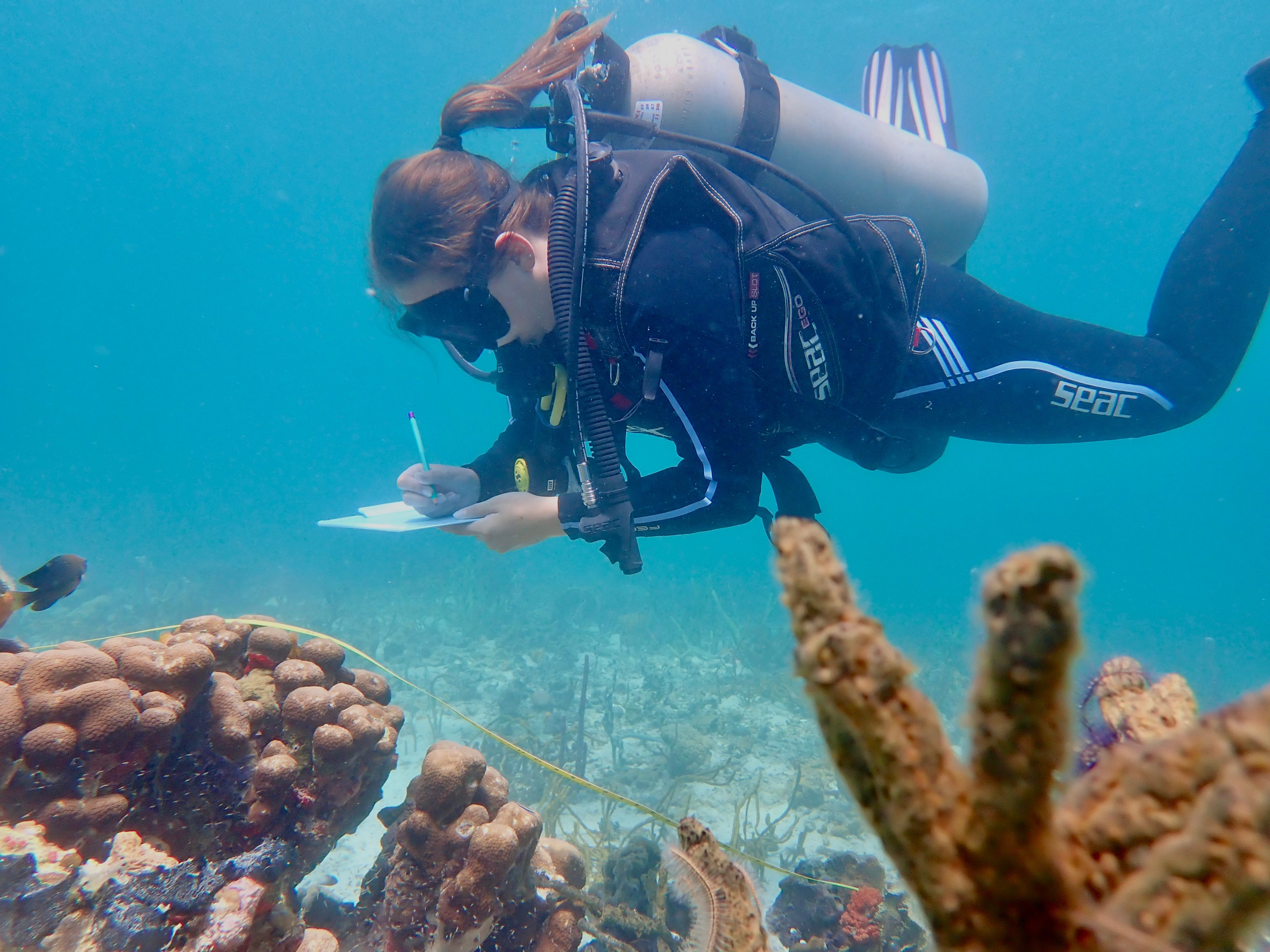 volunteer taking down notes