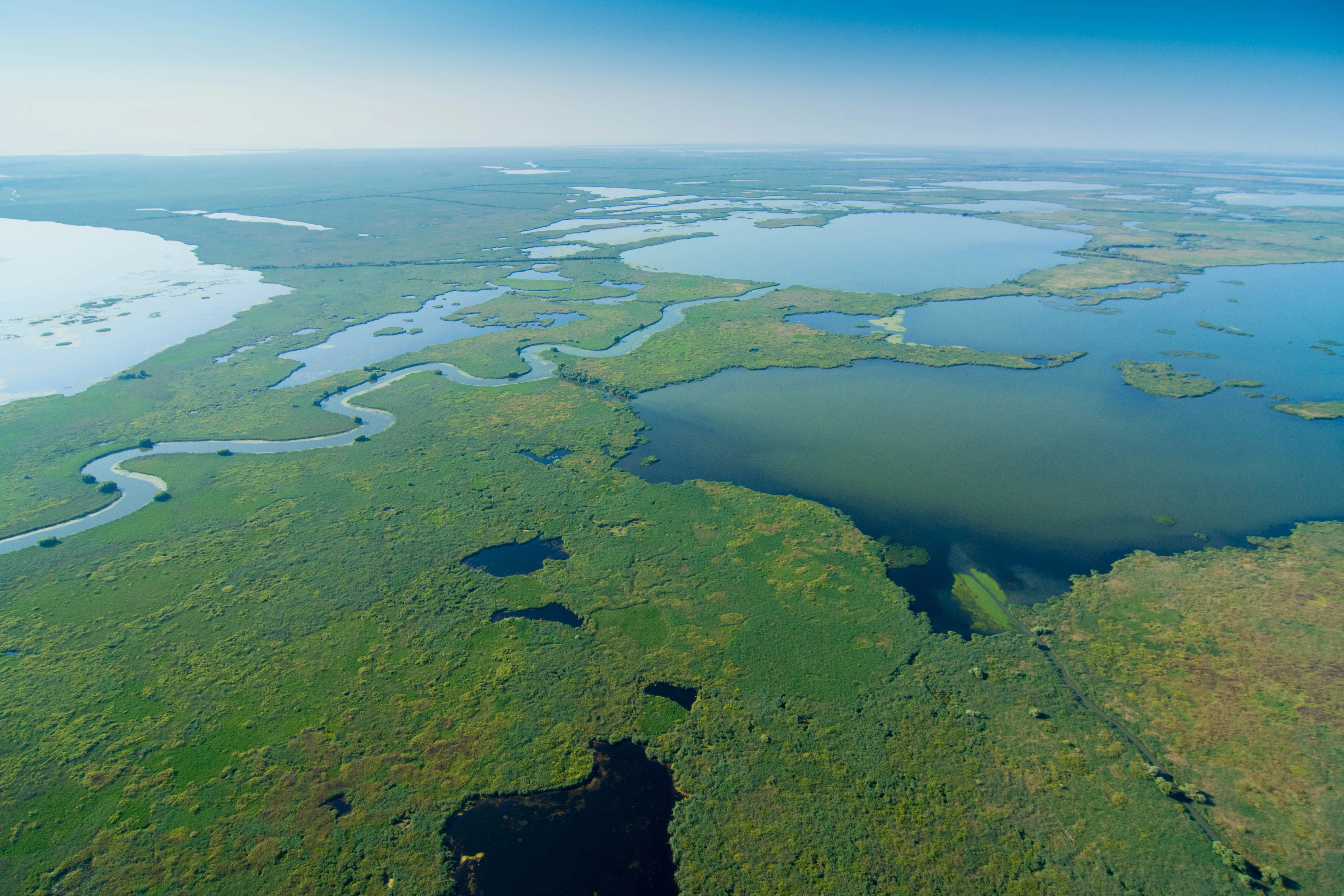 Romanian delta river