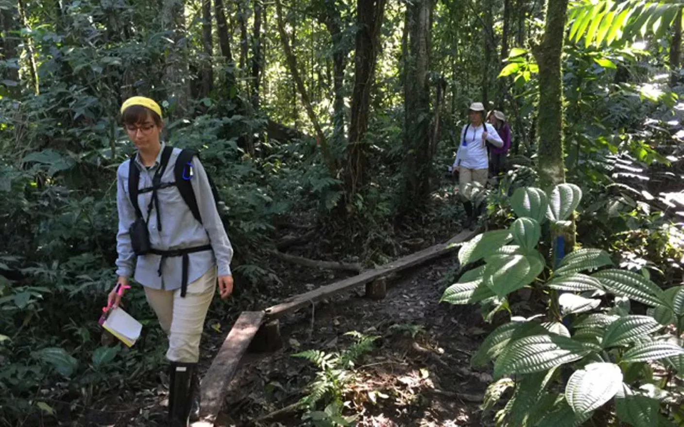 Peru forest walk