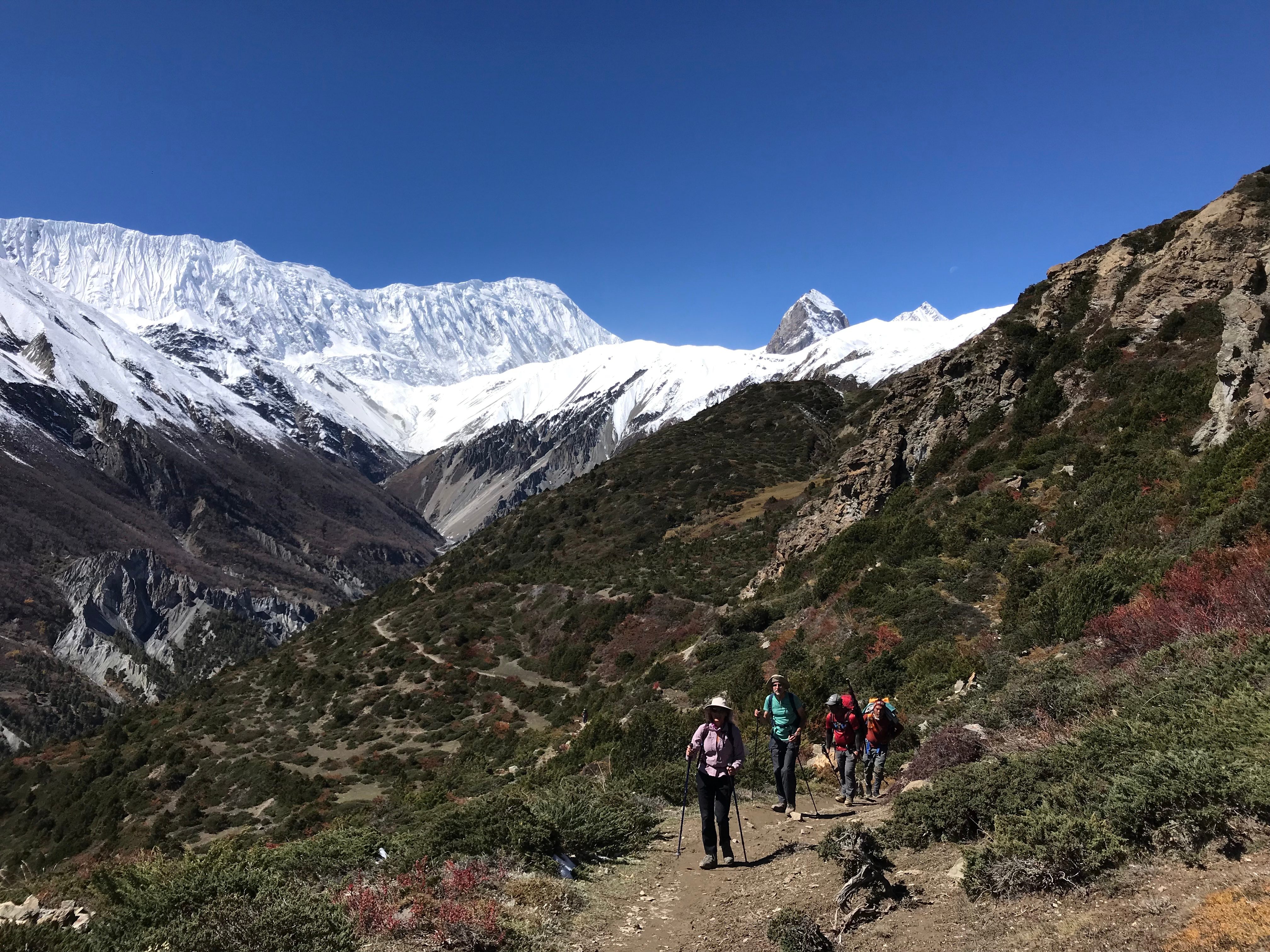 Our Partner: Nireka Adventures