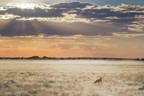Kalahari Primitive Trail, Südafrika