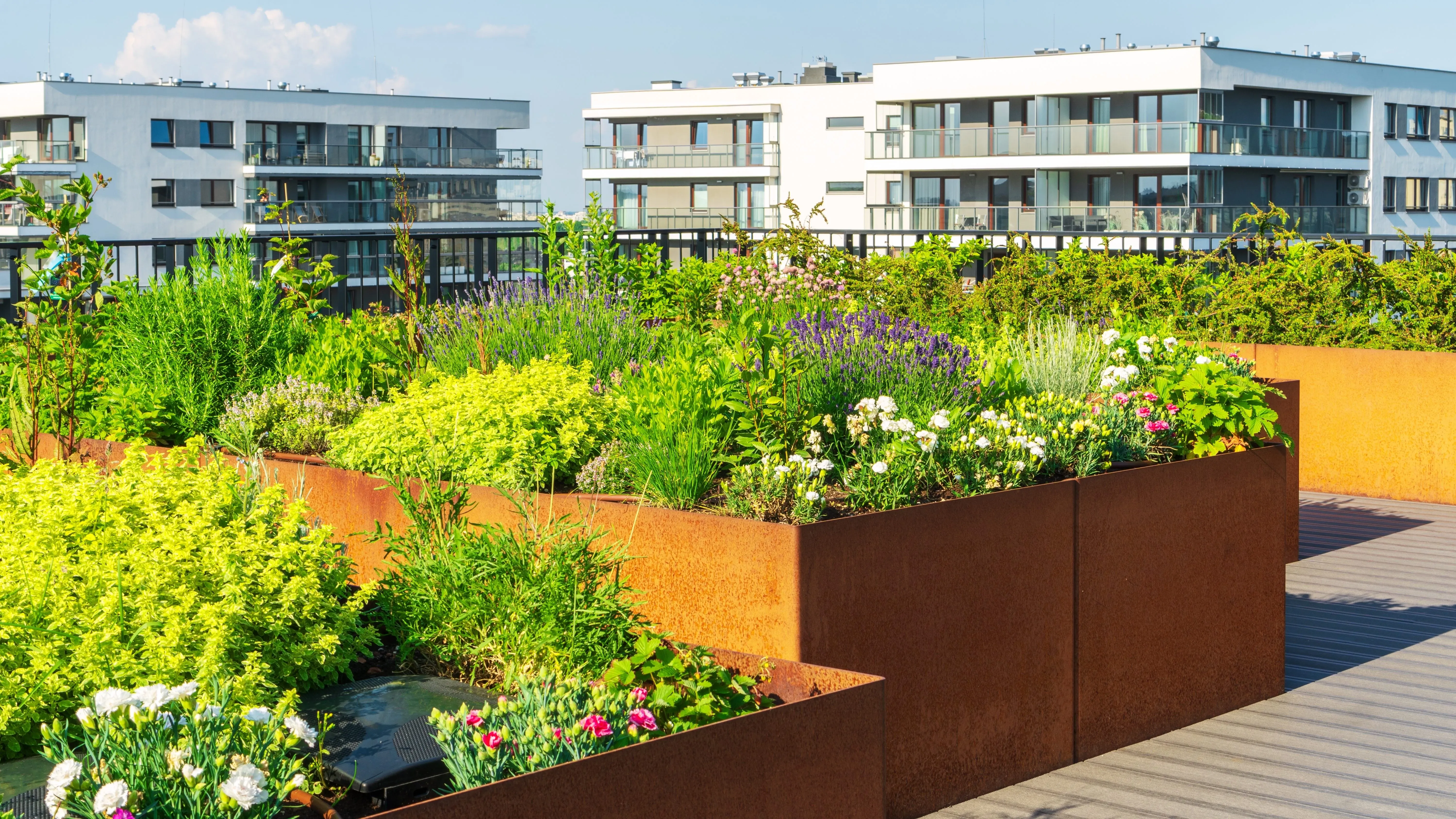 Ecofriendly garden rooftop