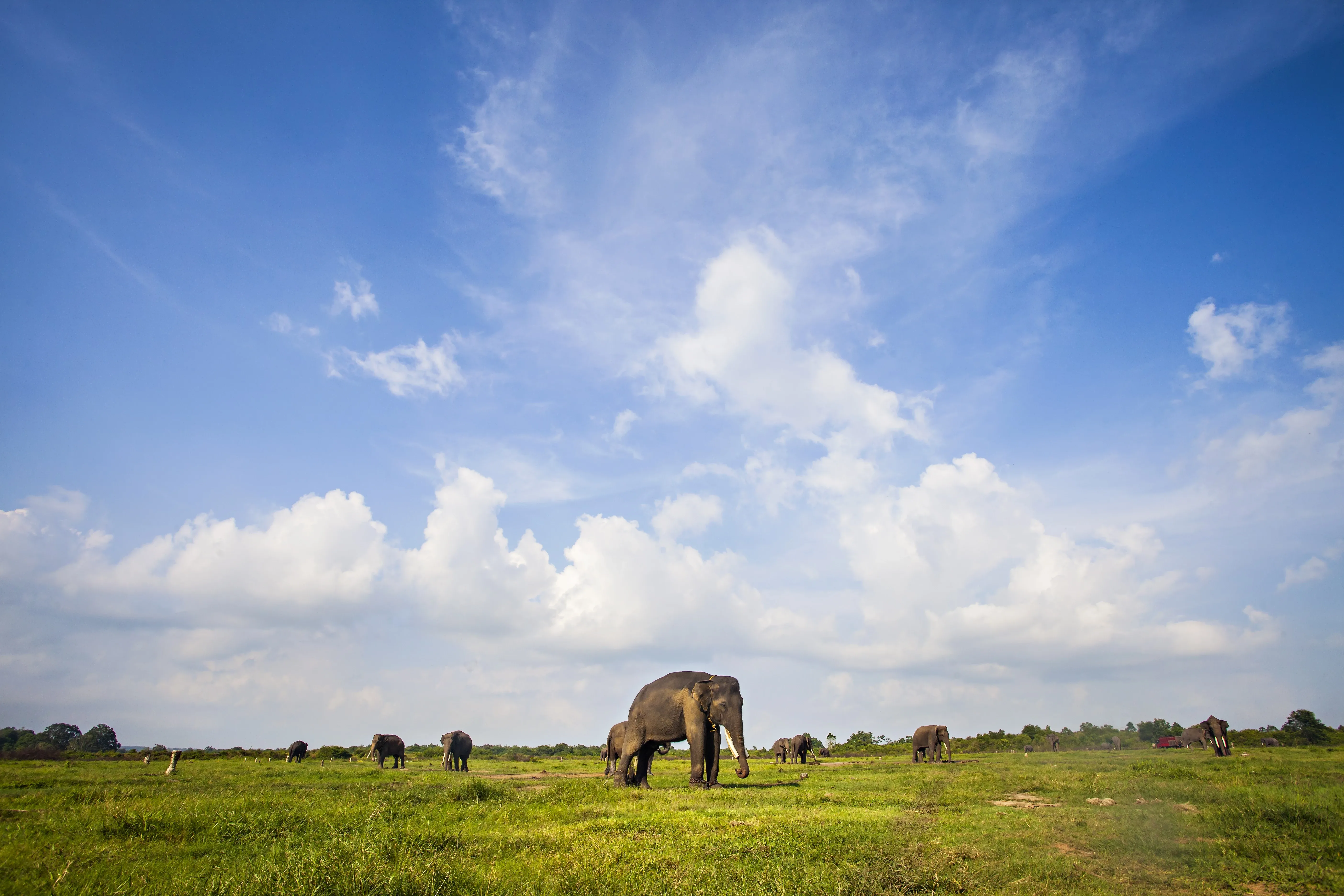 Die besten indonesischen Orte für Naturliebhaber