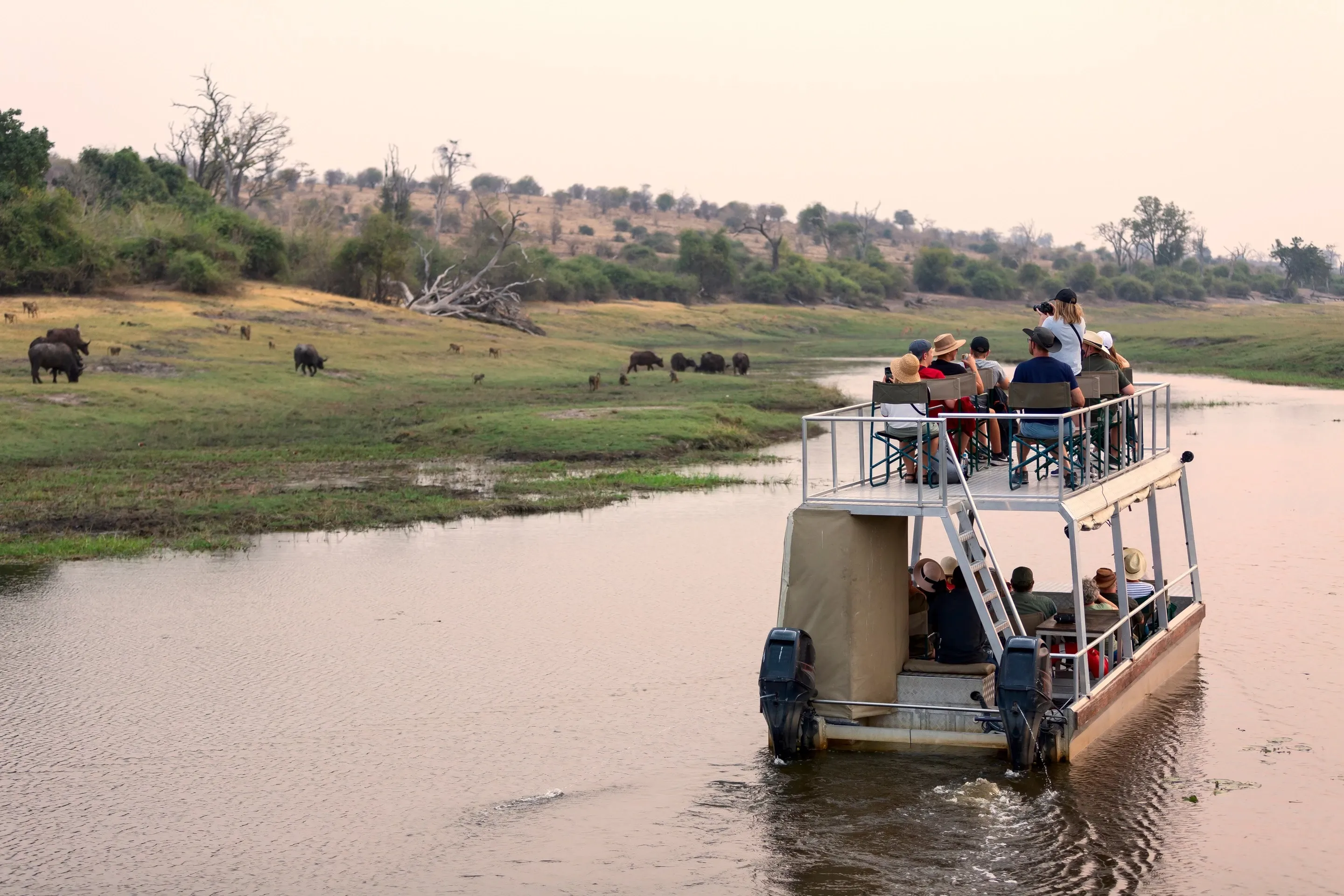 Boat cruise on chobe