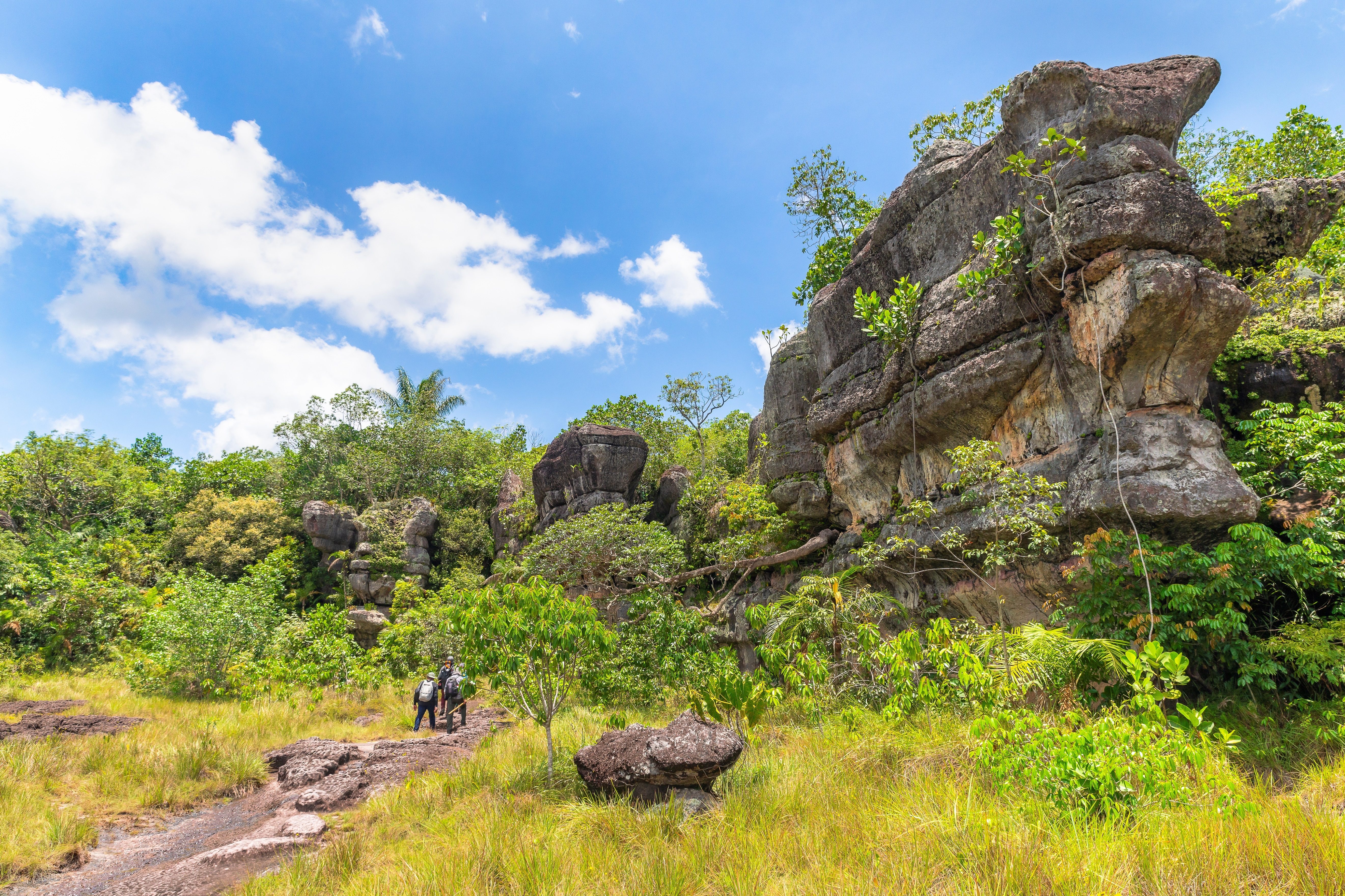 chiribiquete national park in guaviare colombia