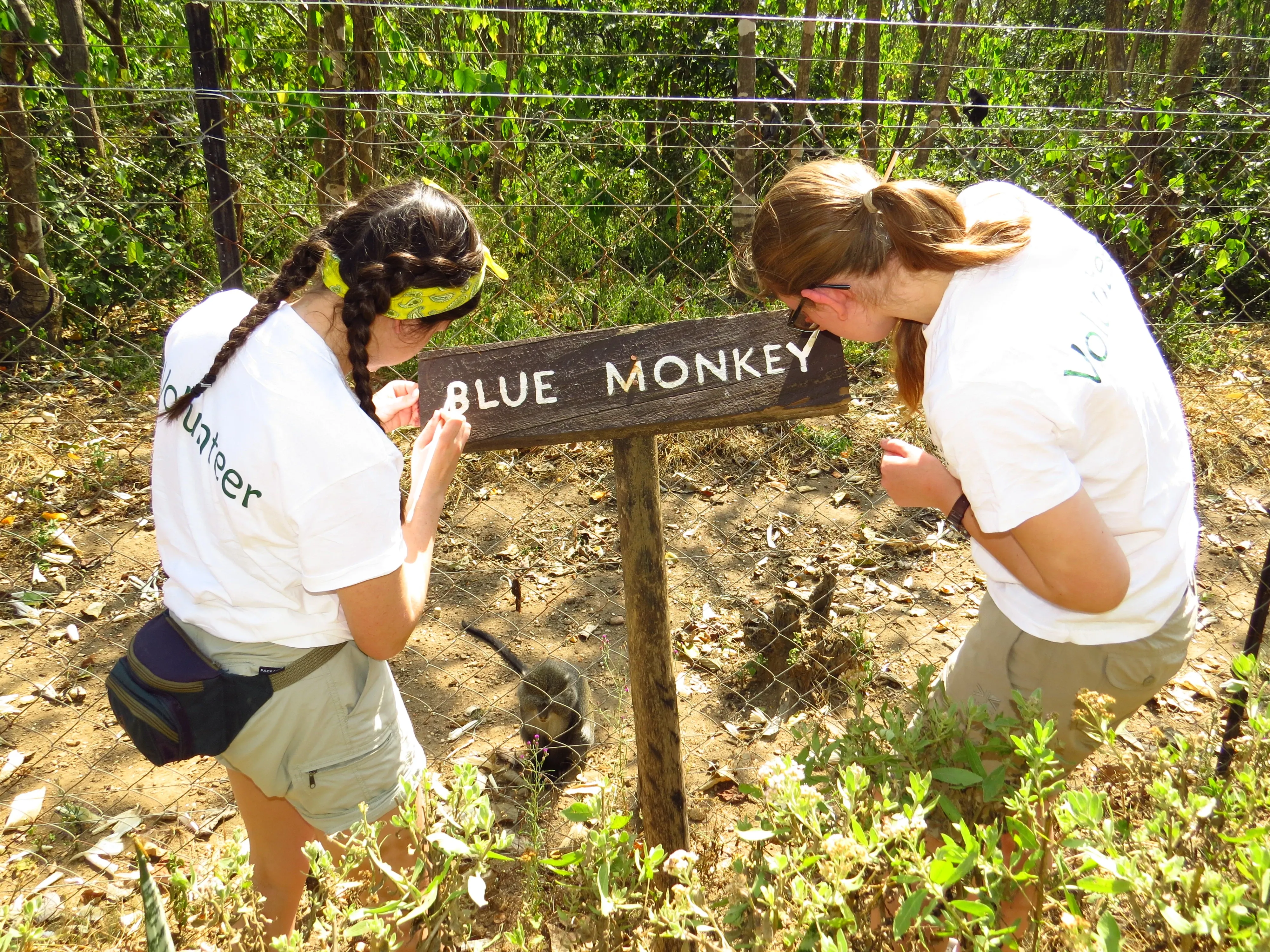 Volunteers maintaining wooden sign with 