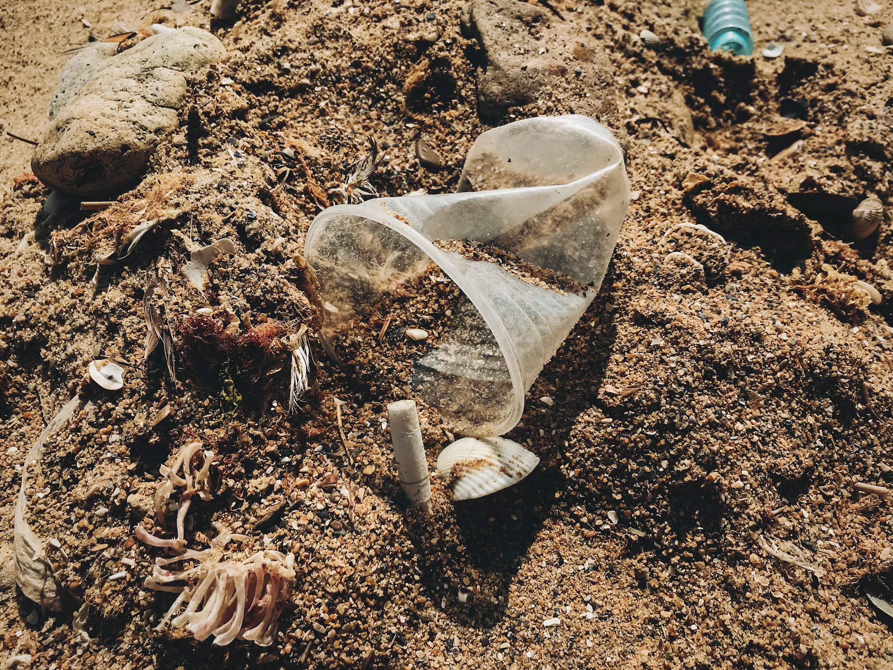 Trash on the beach