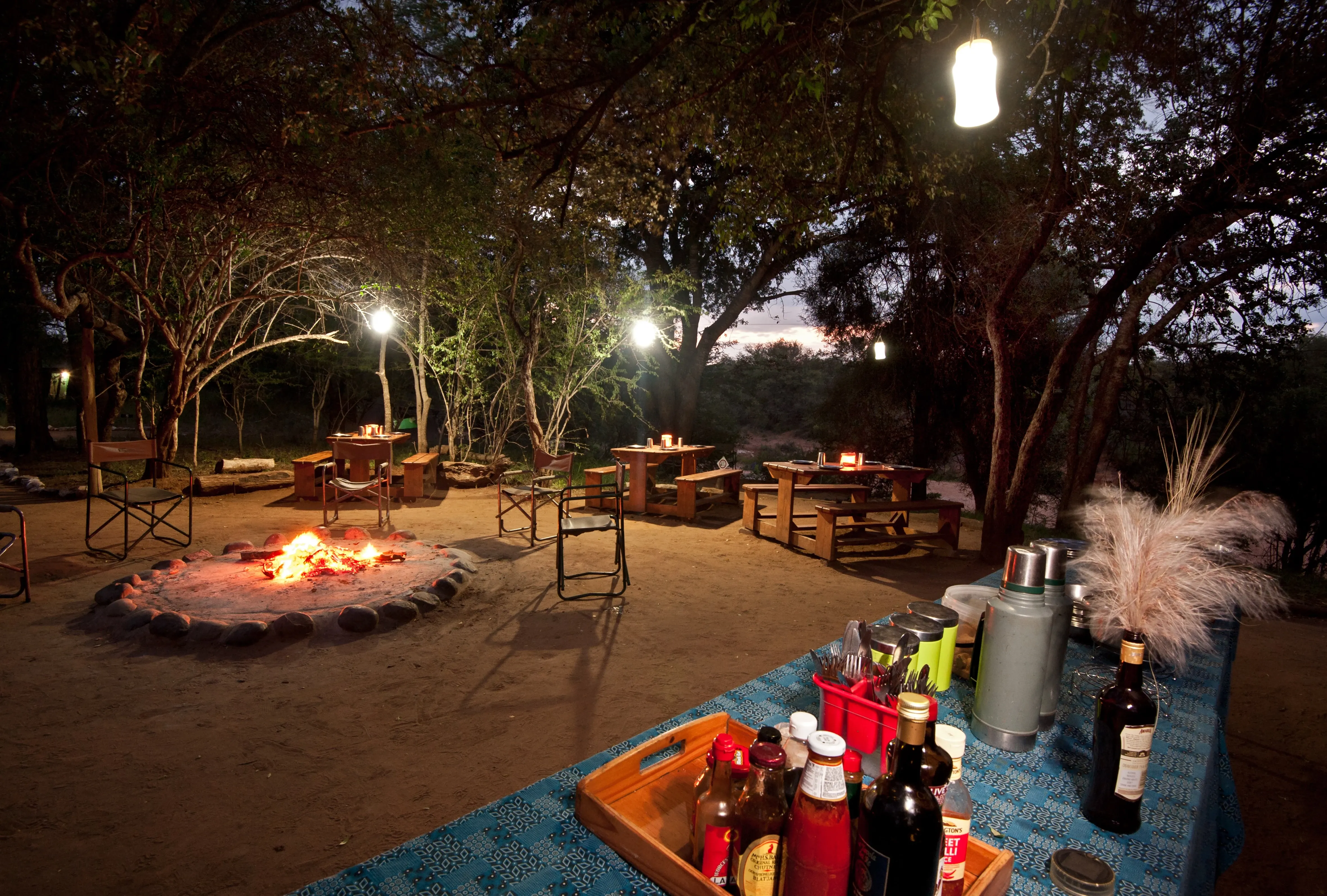 Professional Field Guide, Southern Africa