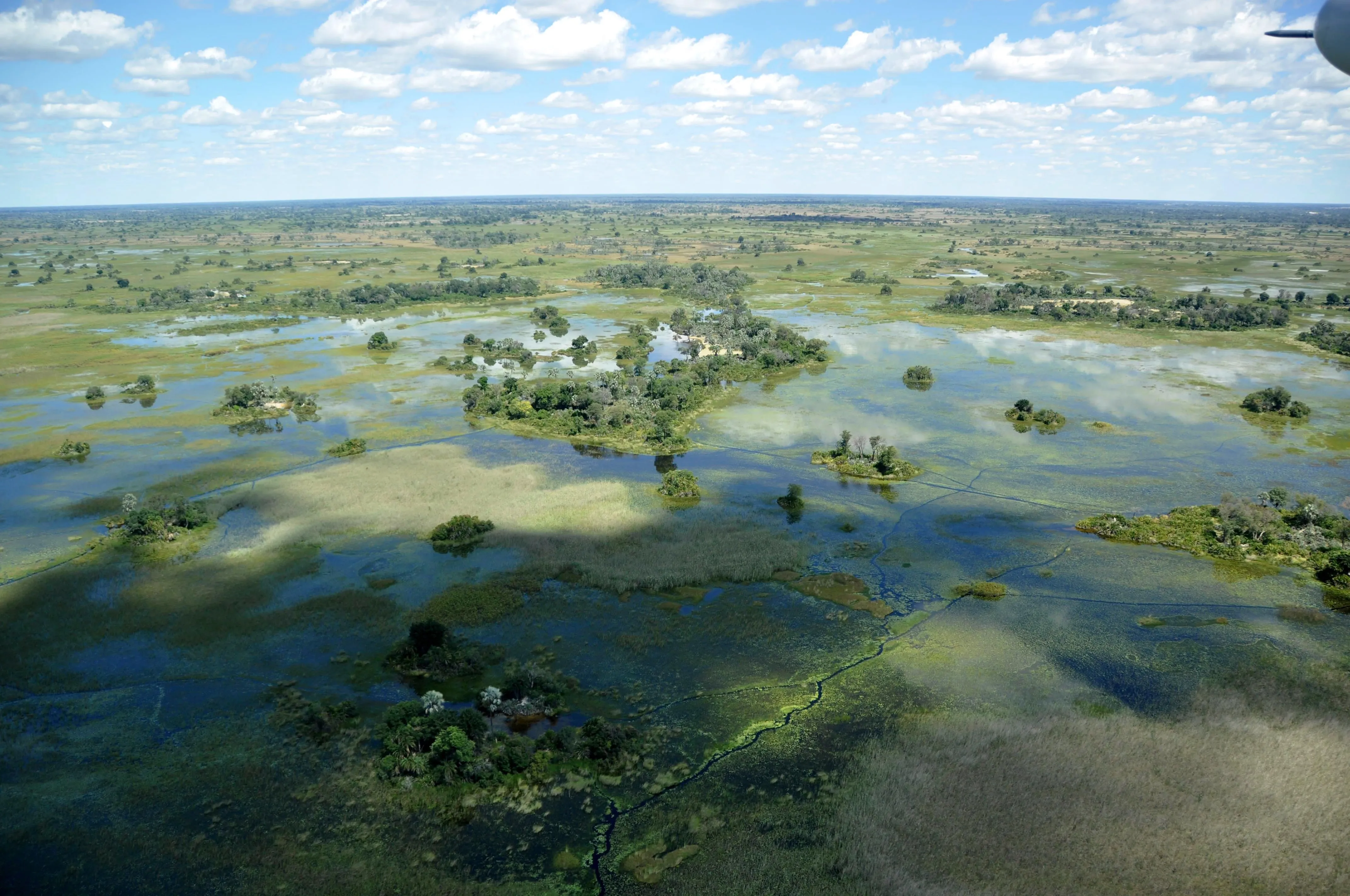 okavango by air
