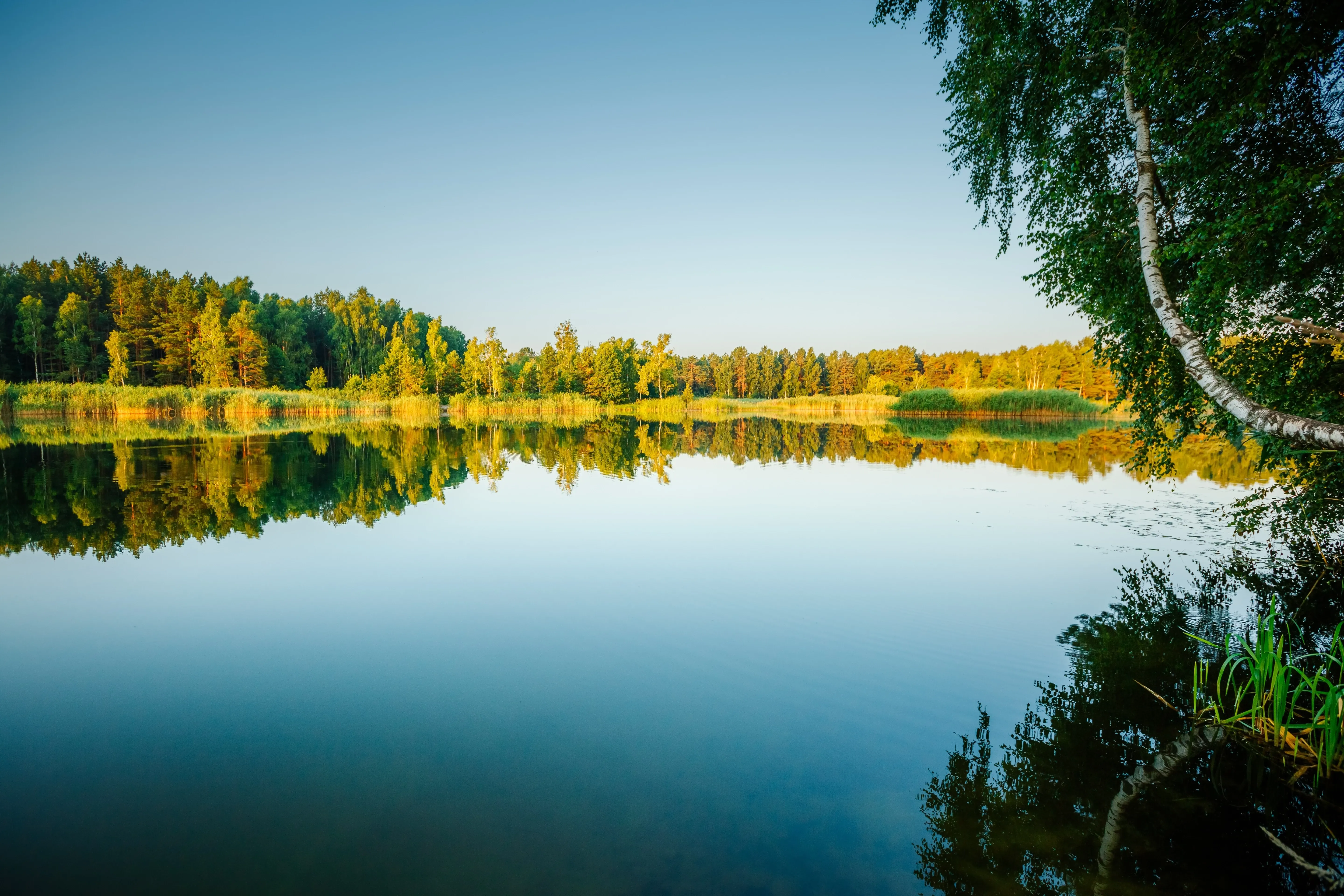 Lake Polissya in ukraine