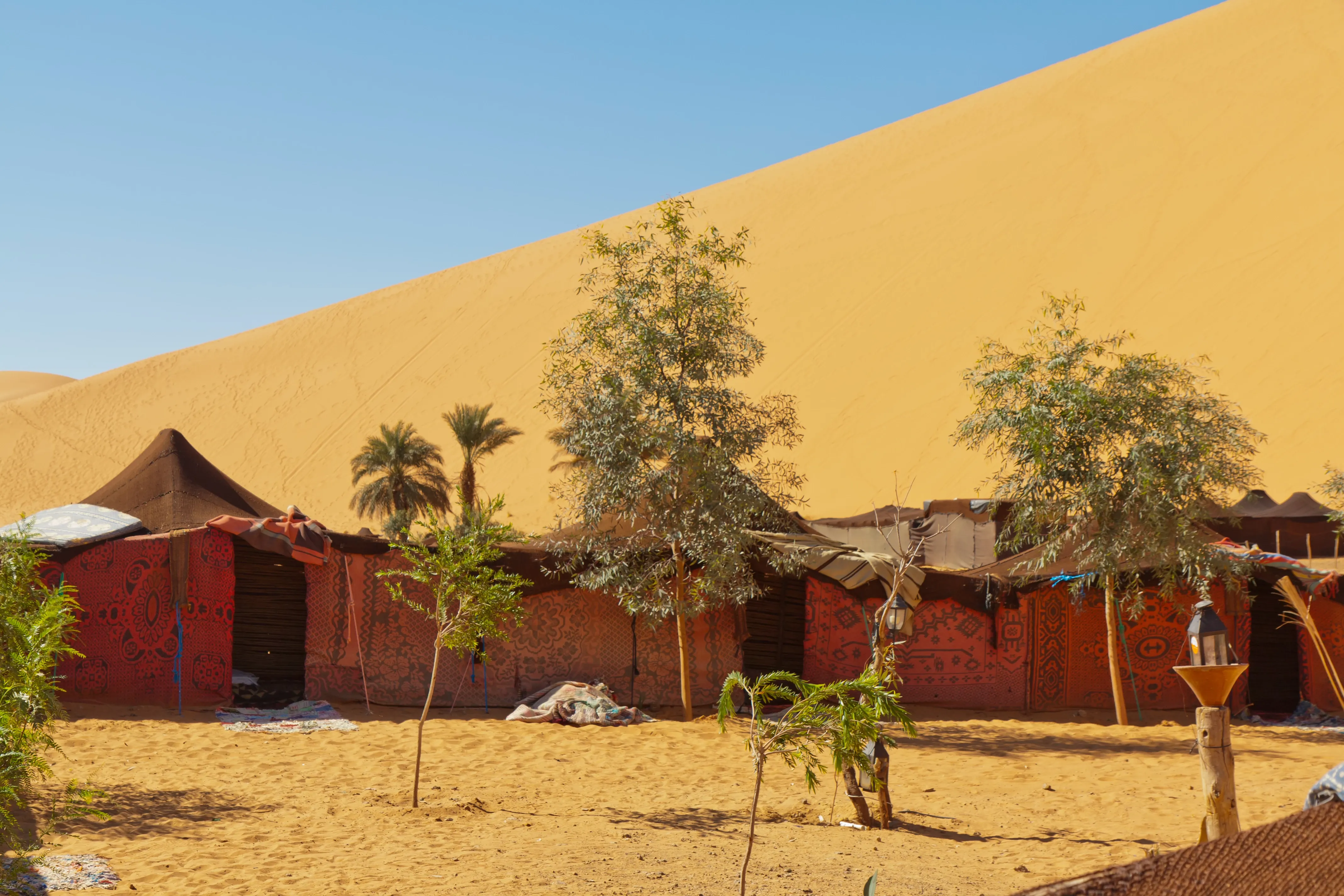 bedouin camping erg chebbi morocco