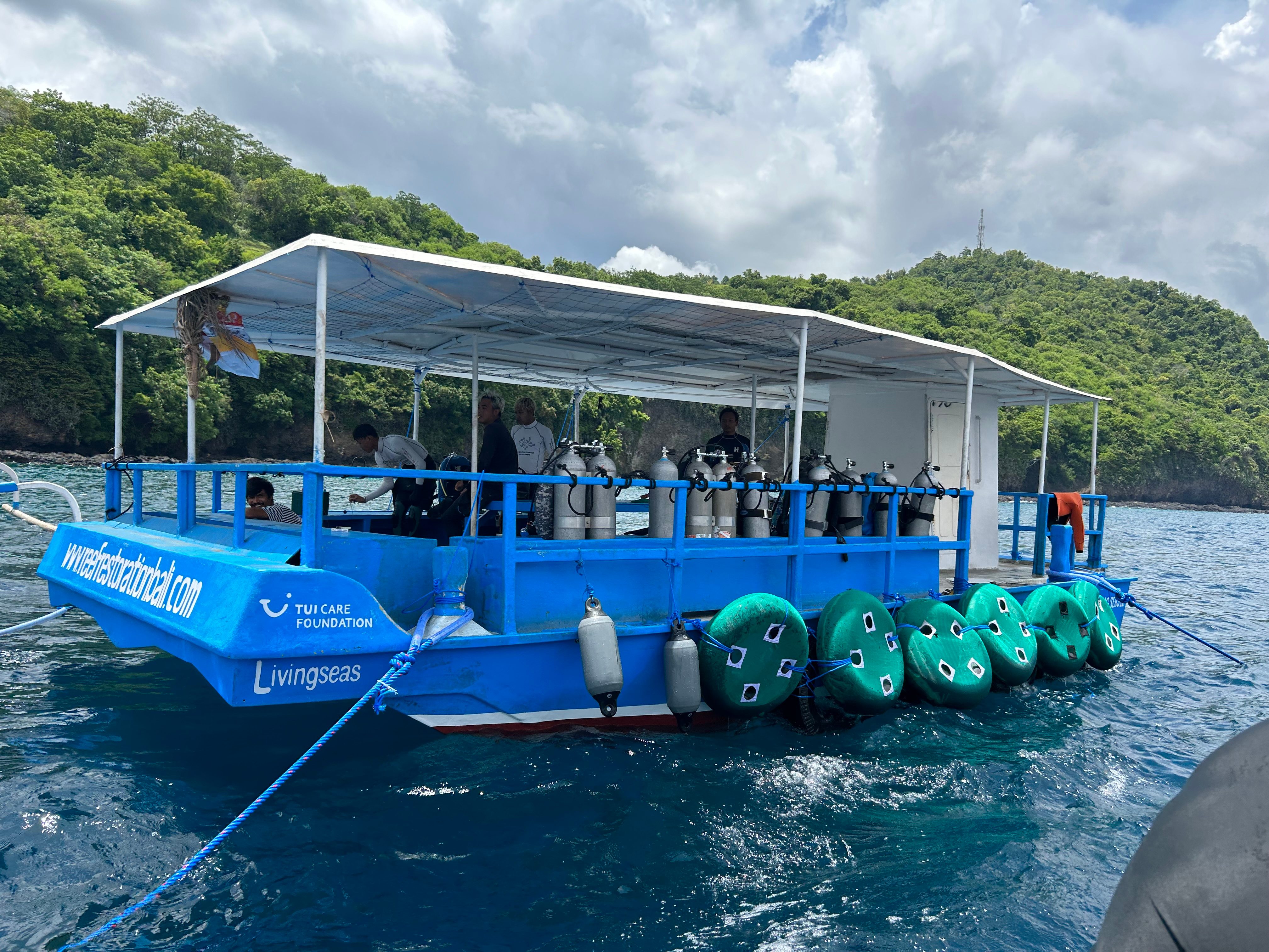 Livingseas boat activity