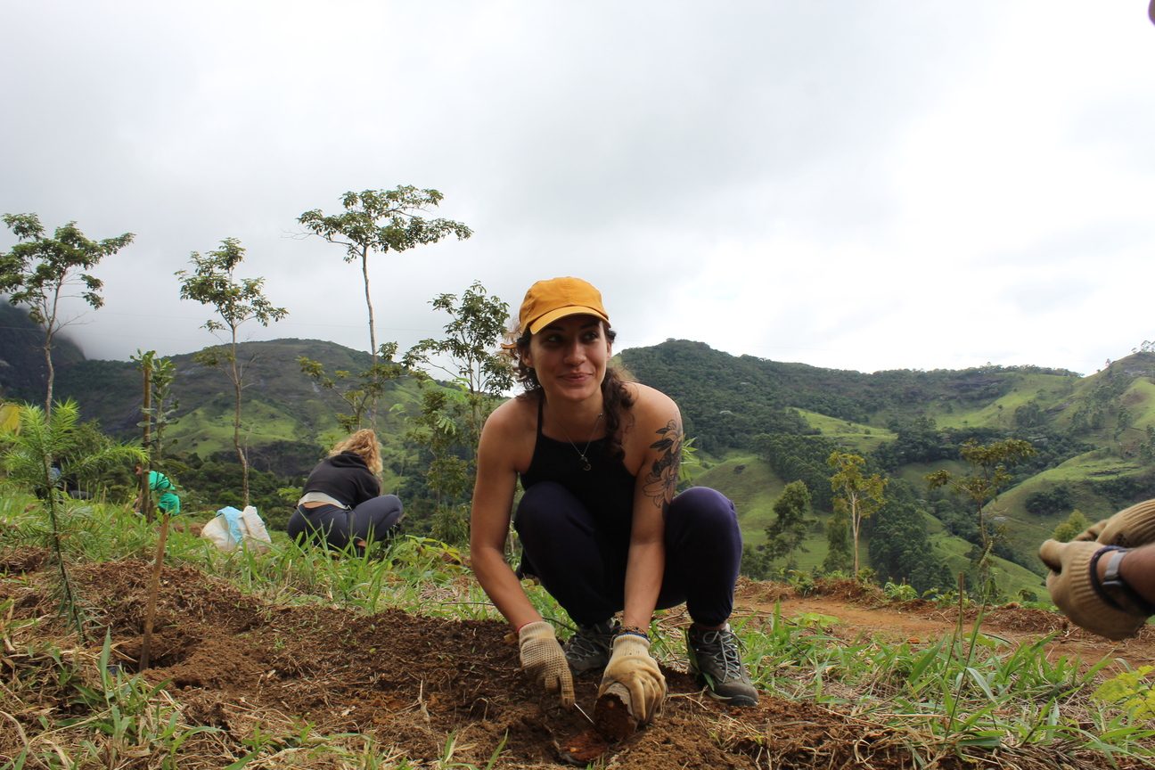 Frau pflanzt einen Baum
