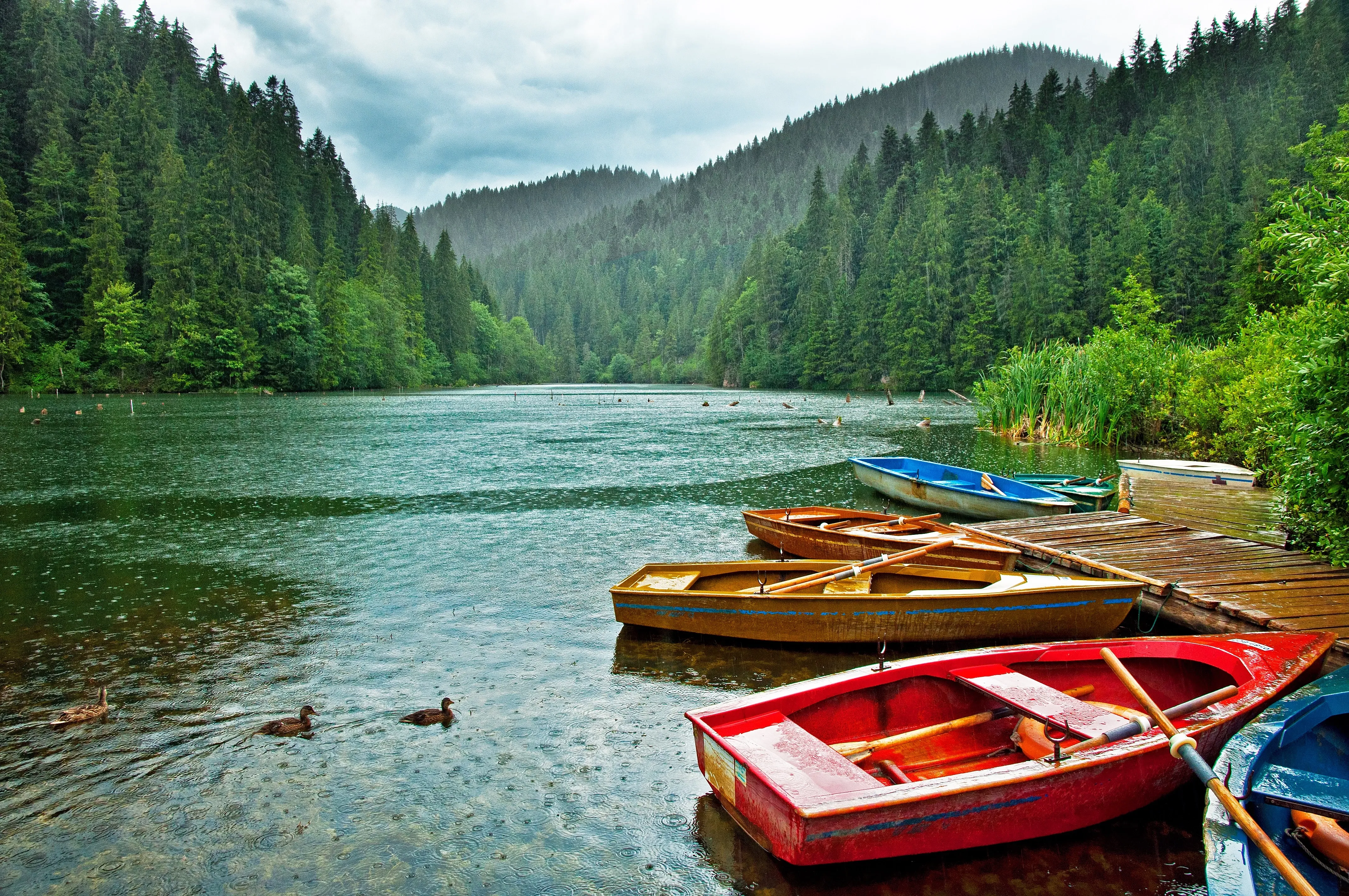 Boats in romanian lake