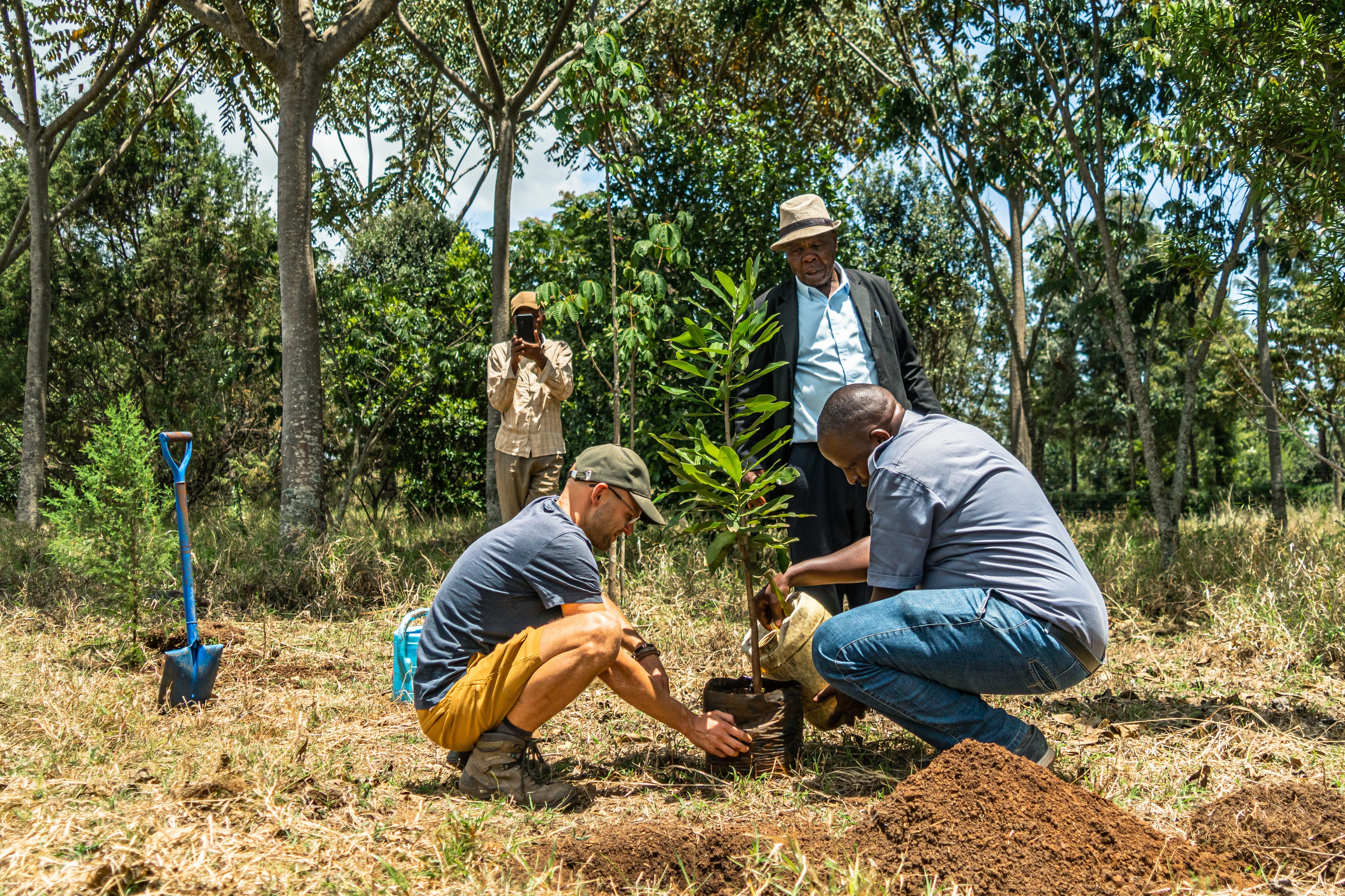 volunteers planting trees