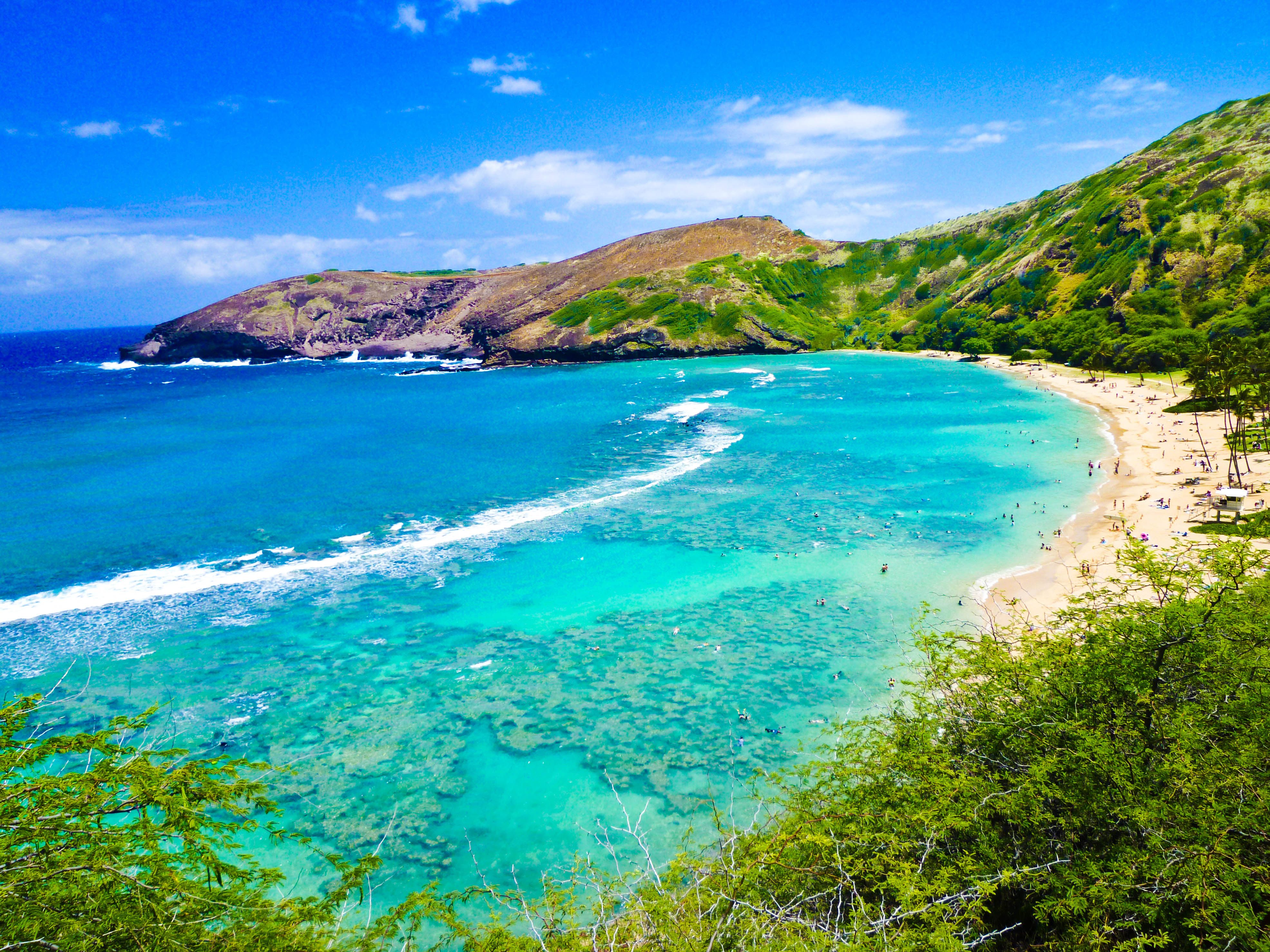 hawaii beach