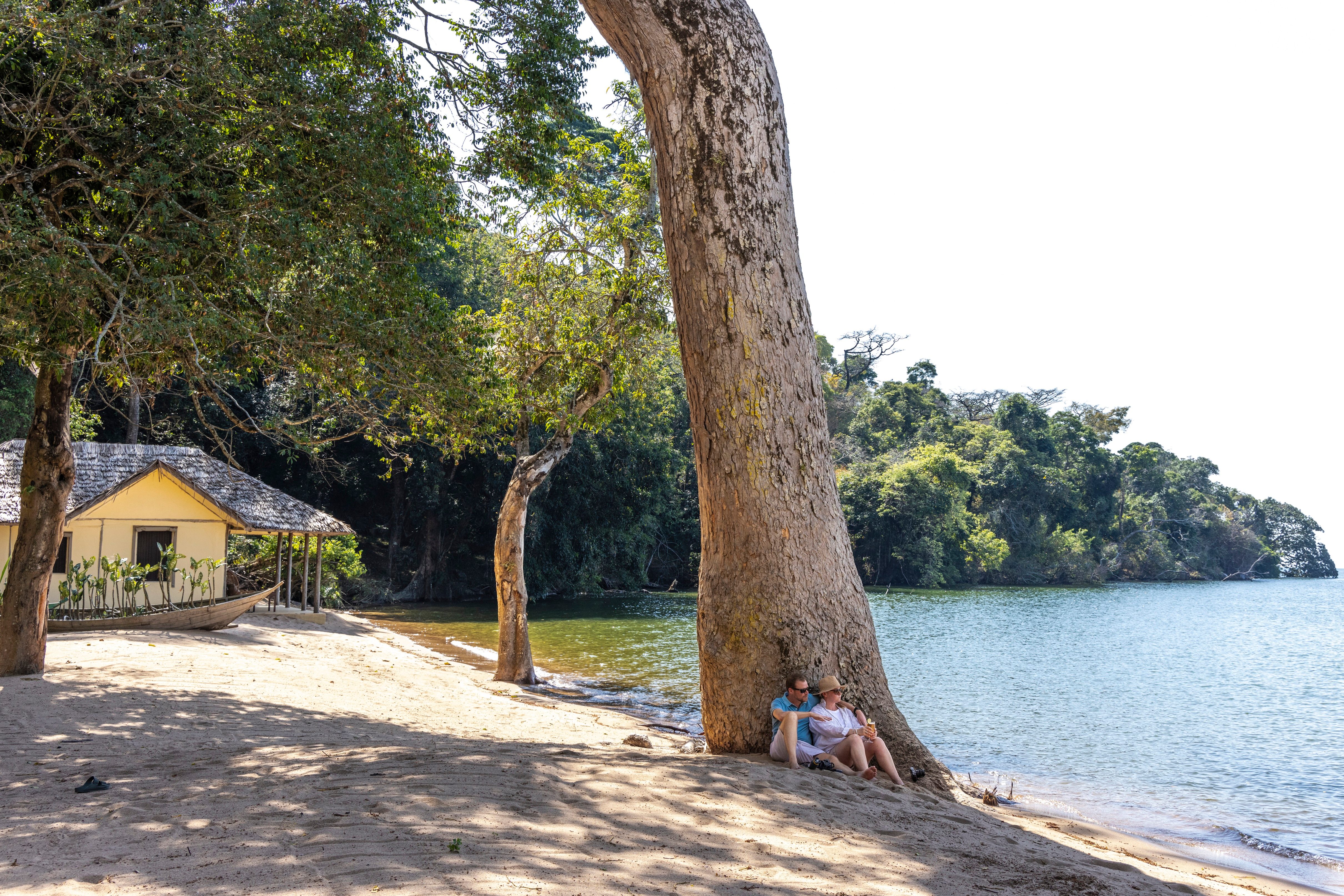 Gäste sitzen unter Baum